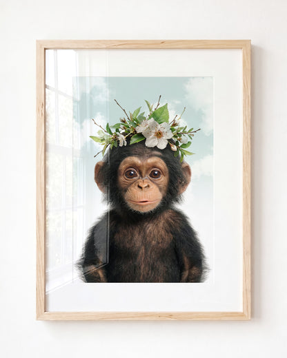 Baby Chimpanzee
