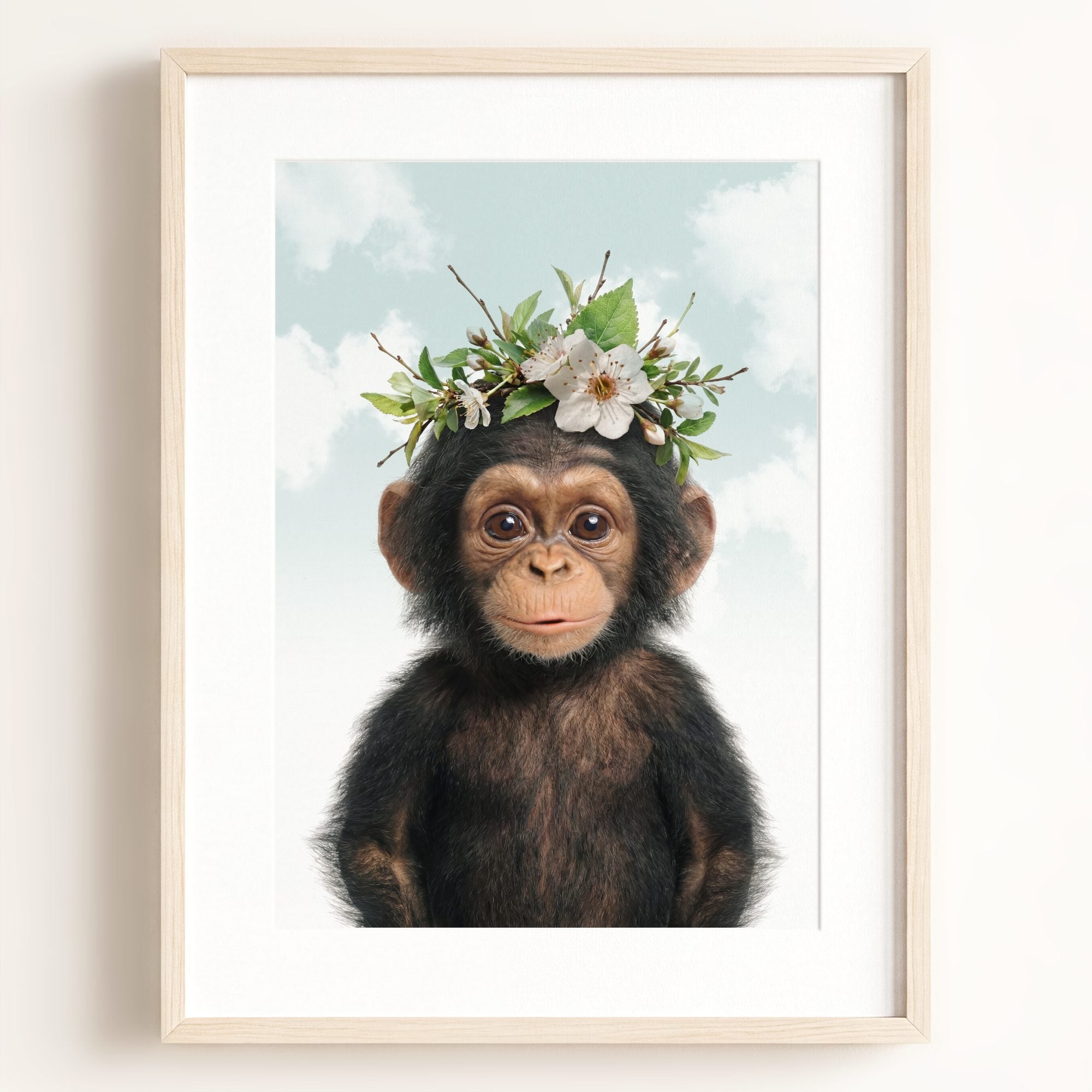 Baby Chimpanzee