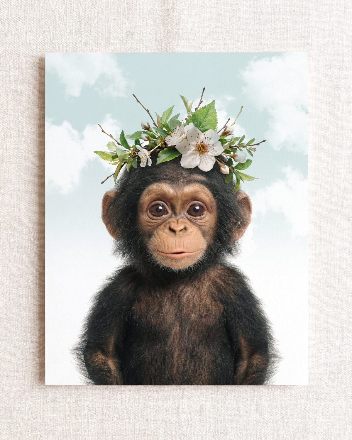 Baby Chimpanzee