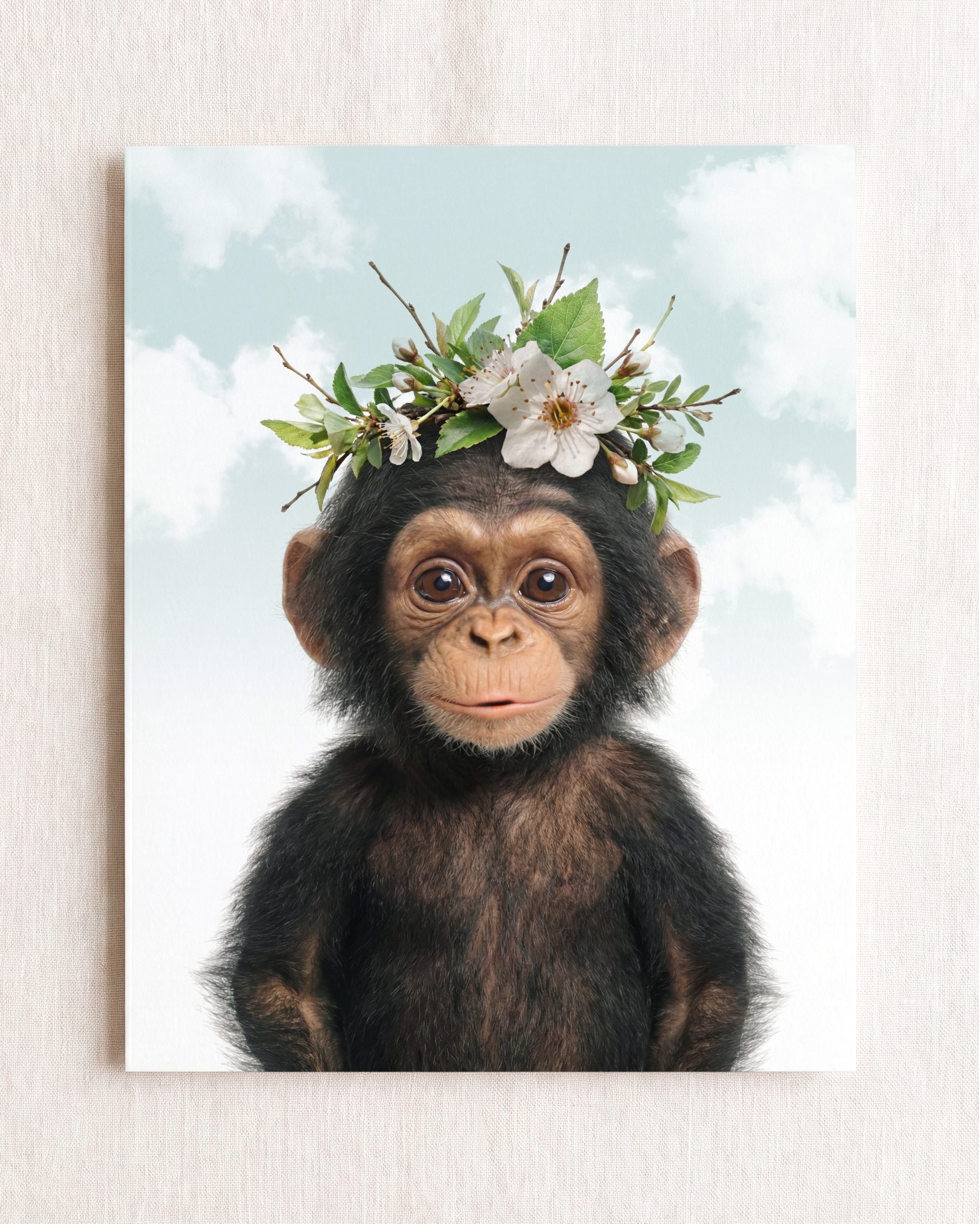 Baby Chimpanzee