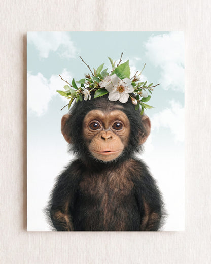 Baby Chimpanzee