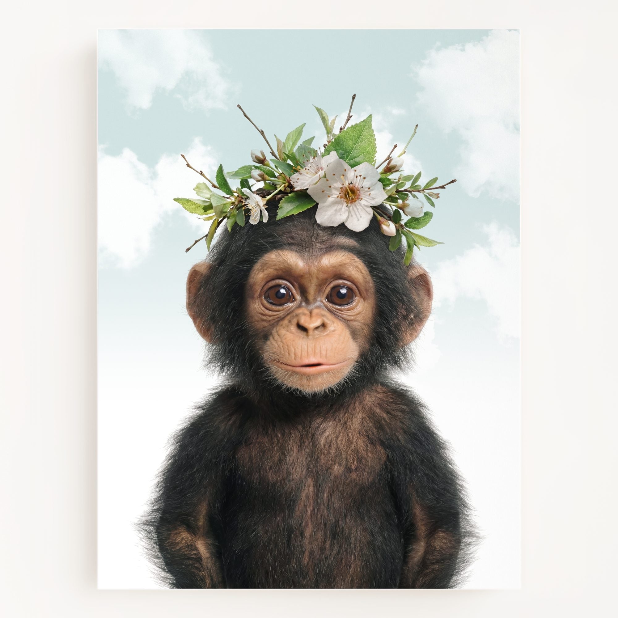 Baby Chimpanzee