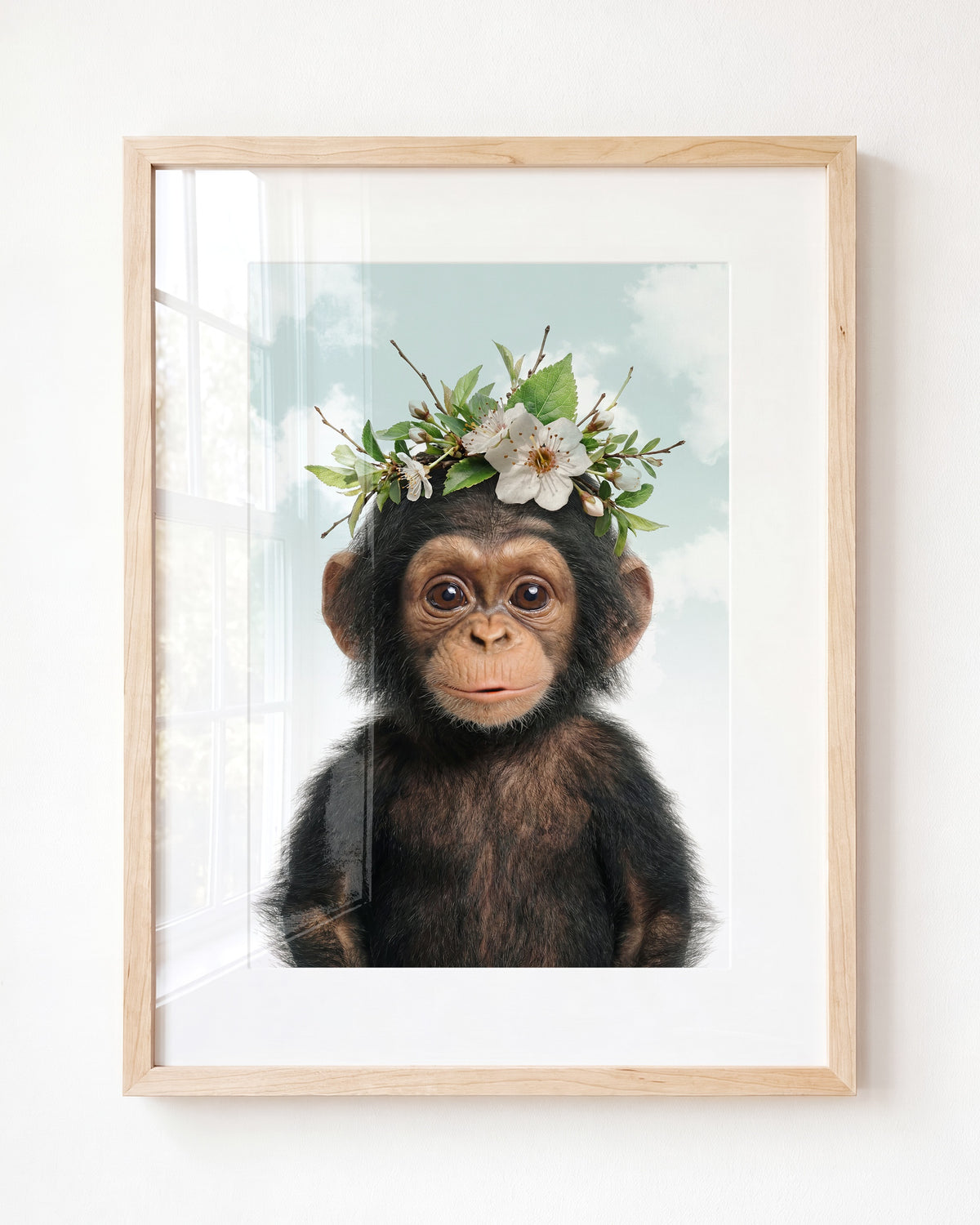 Baby Chimpanzee