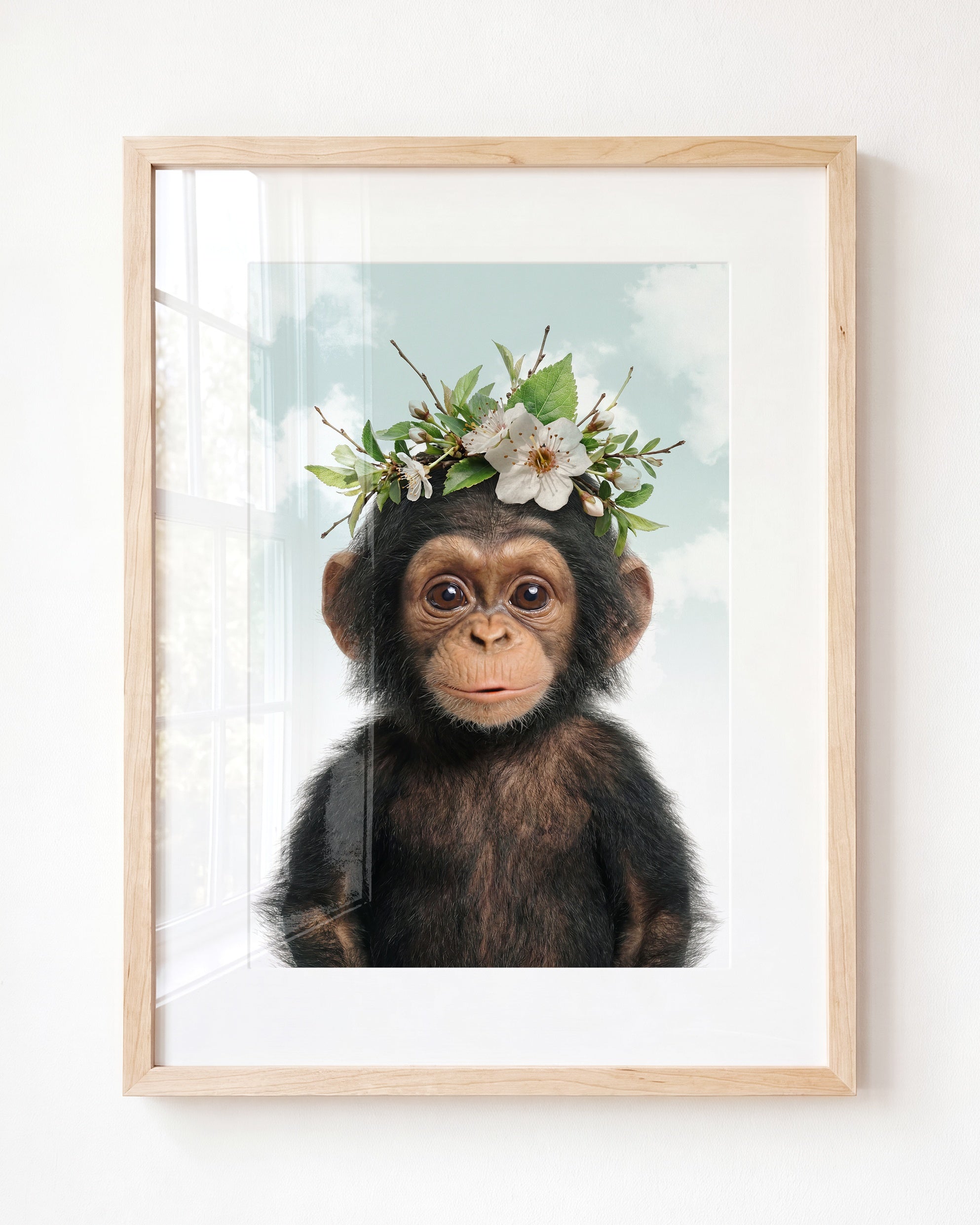 Baby Chimpanzee