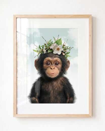 Baby Chimpanzee
