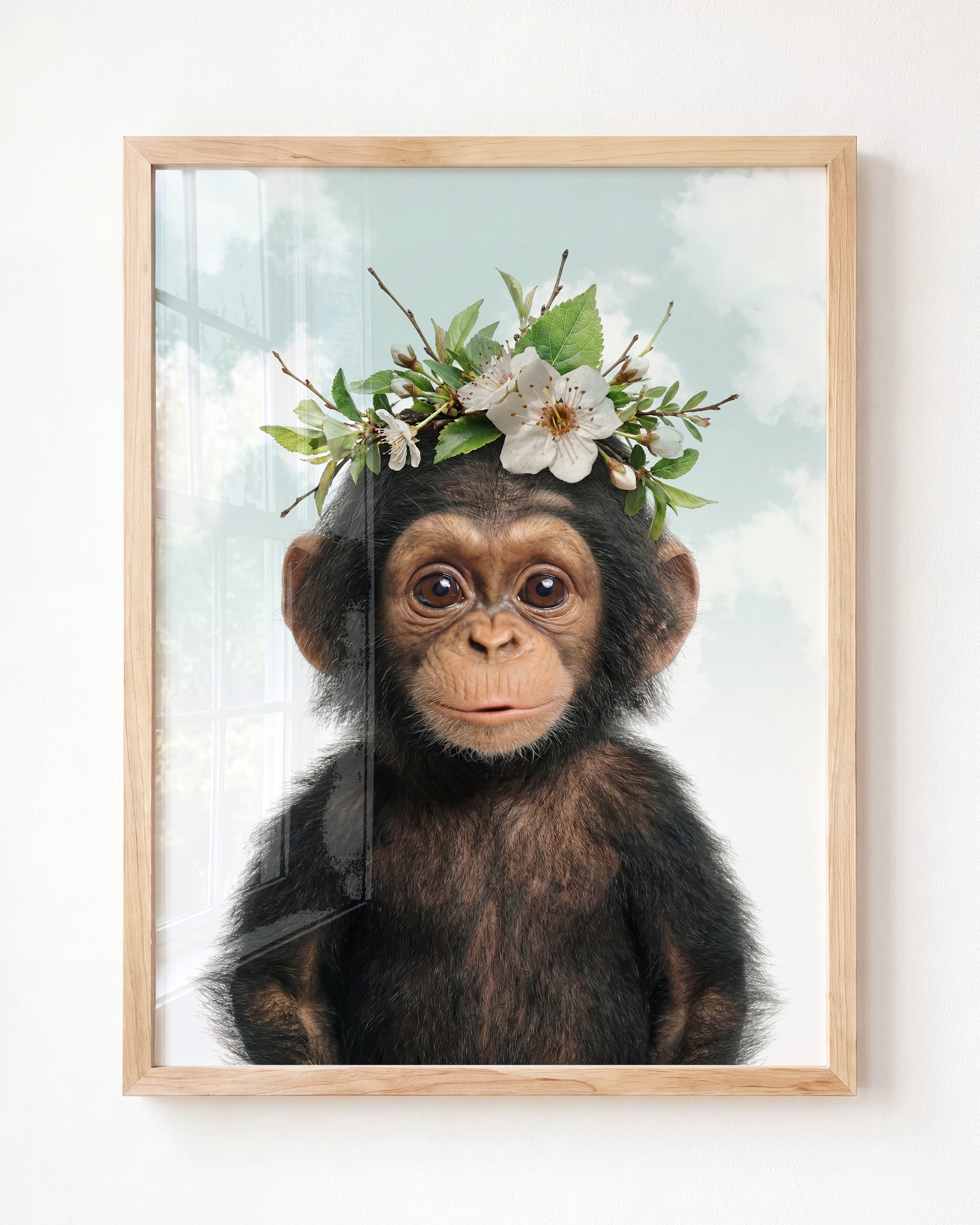 Baby Chimpanzee