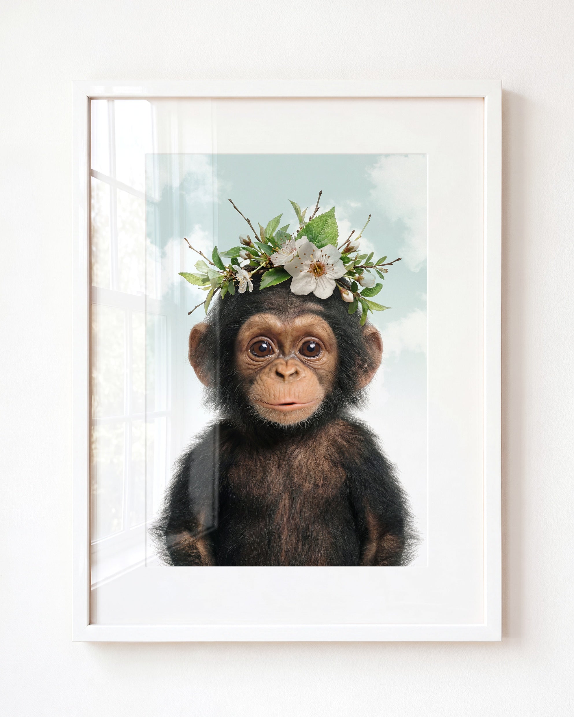 Baby Chimpanzee