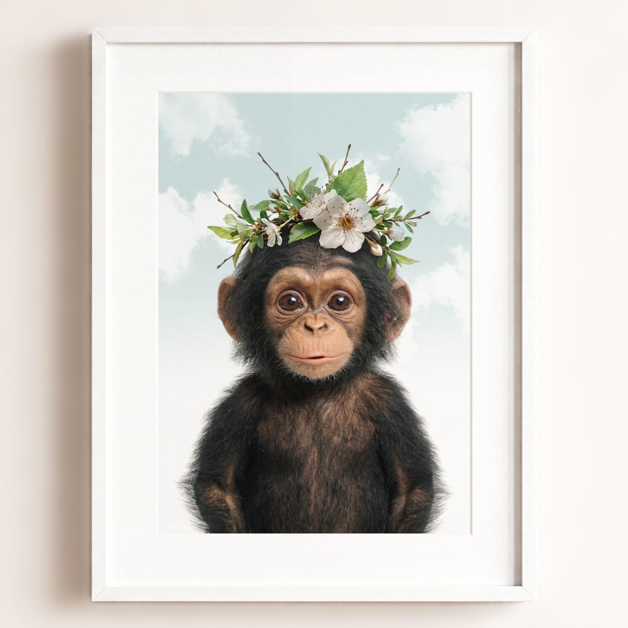 Baby Chimpanzee