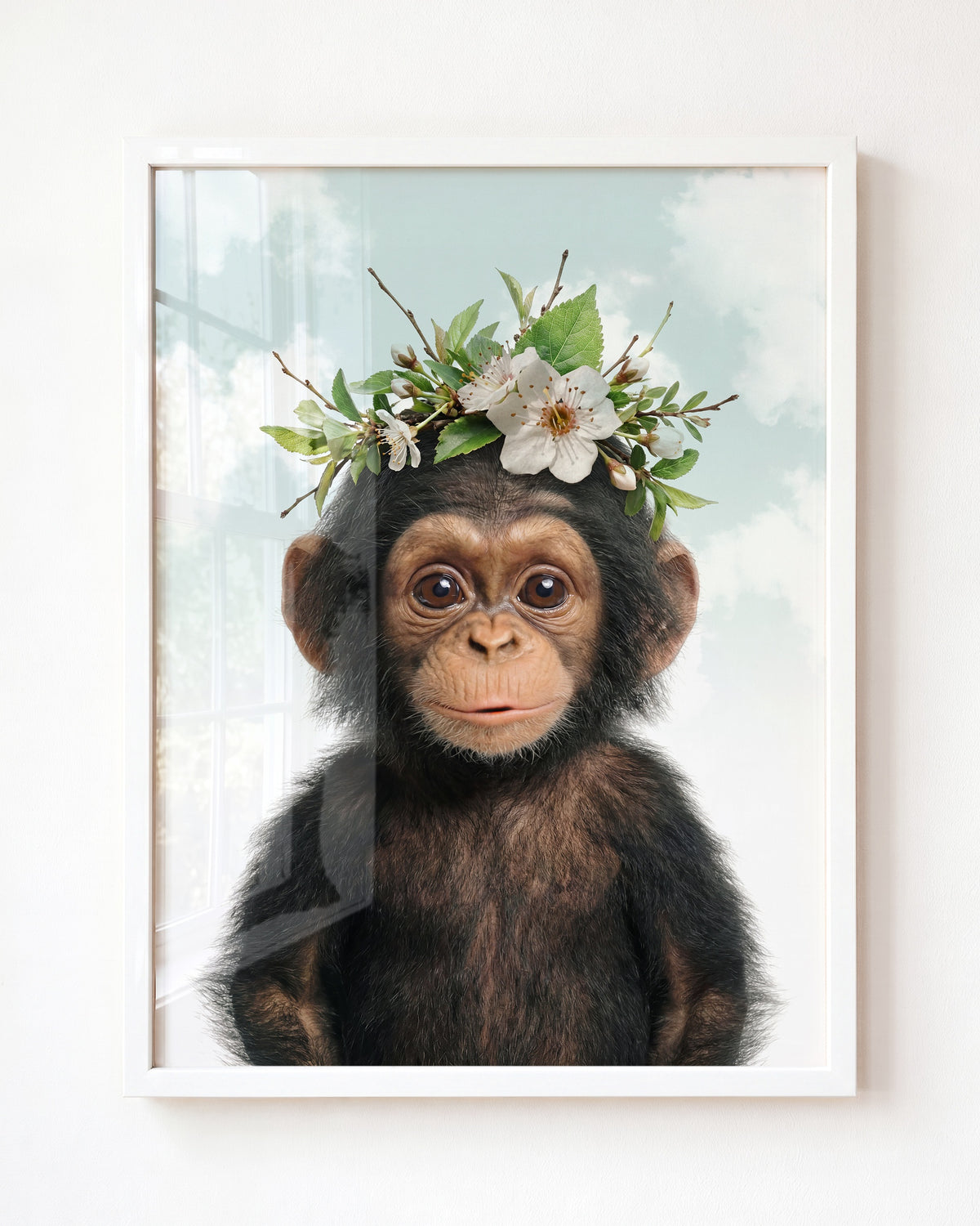 Baby Chimpanzee