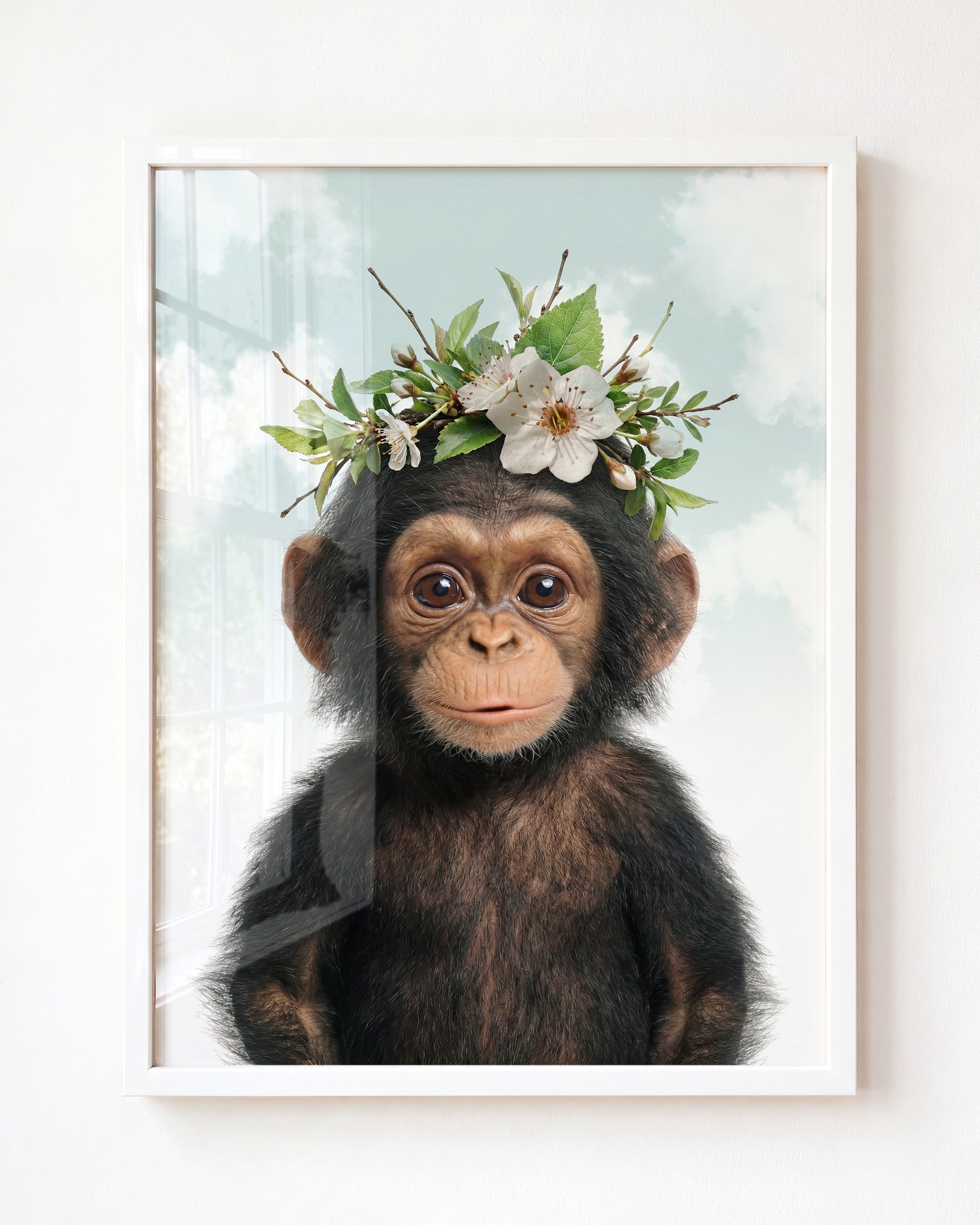 Baby Chimpanzee