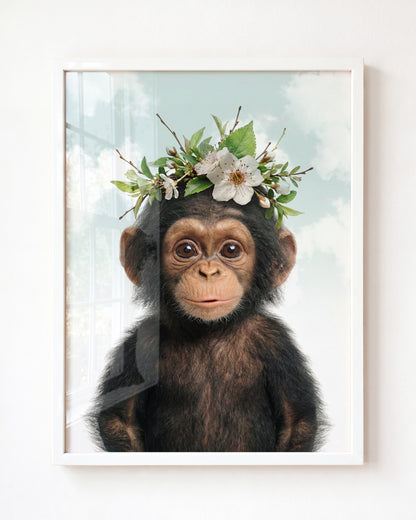 Baby Chimpanzee