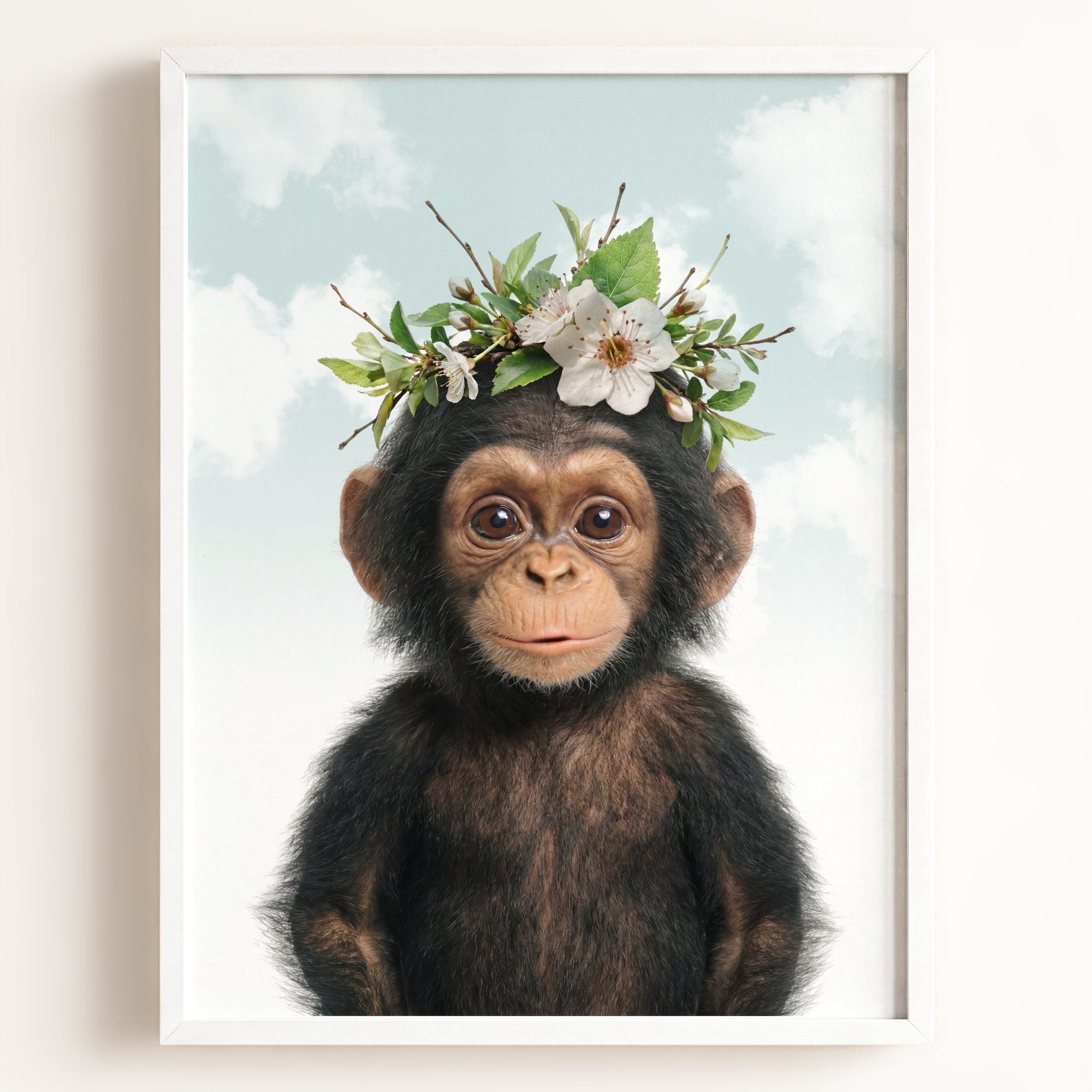 Baby Chimpanzee