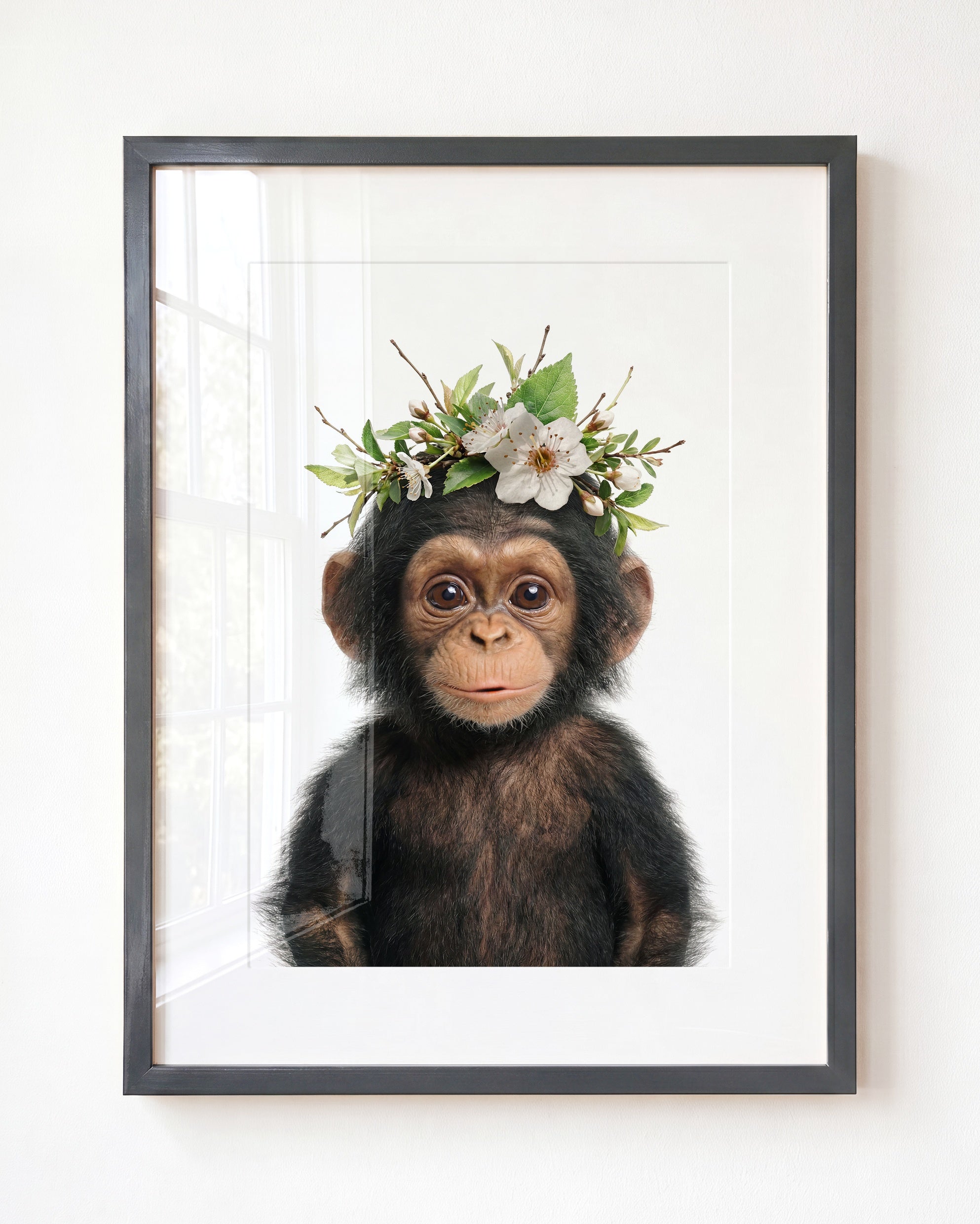 Baby Chimpanzee