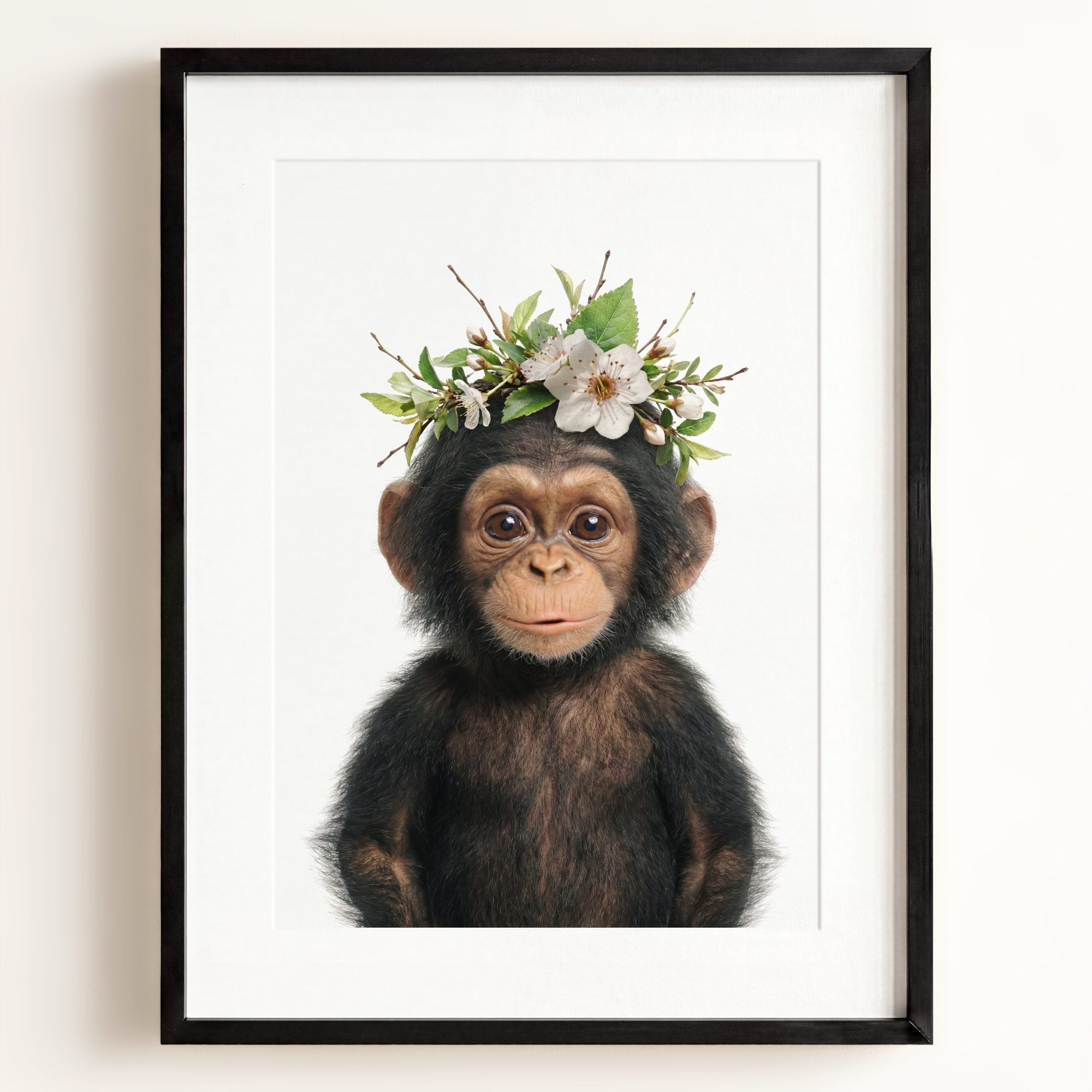 Baby Chimpanzee