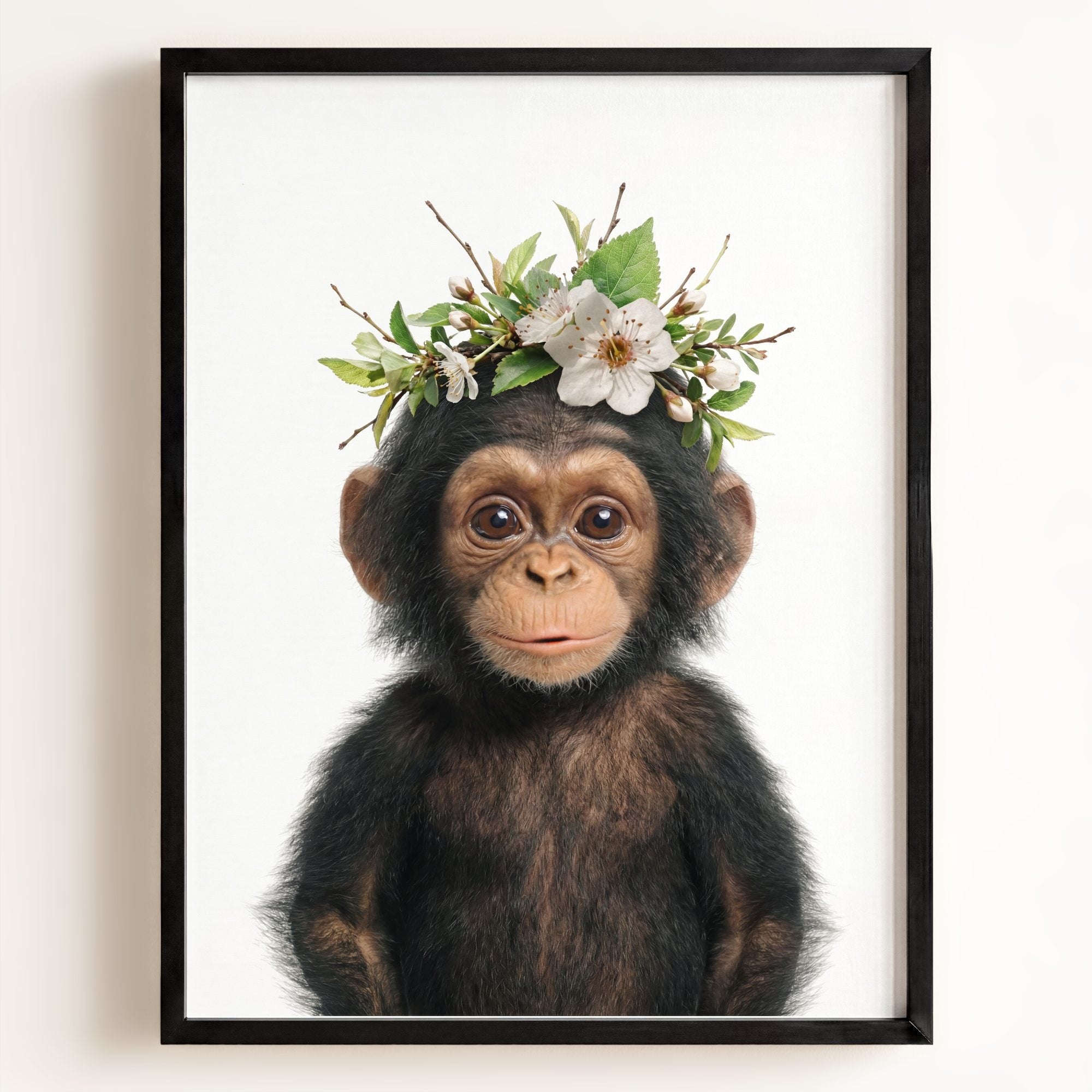 Baby Chimpanzee