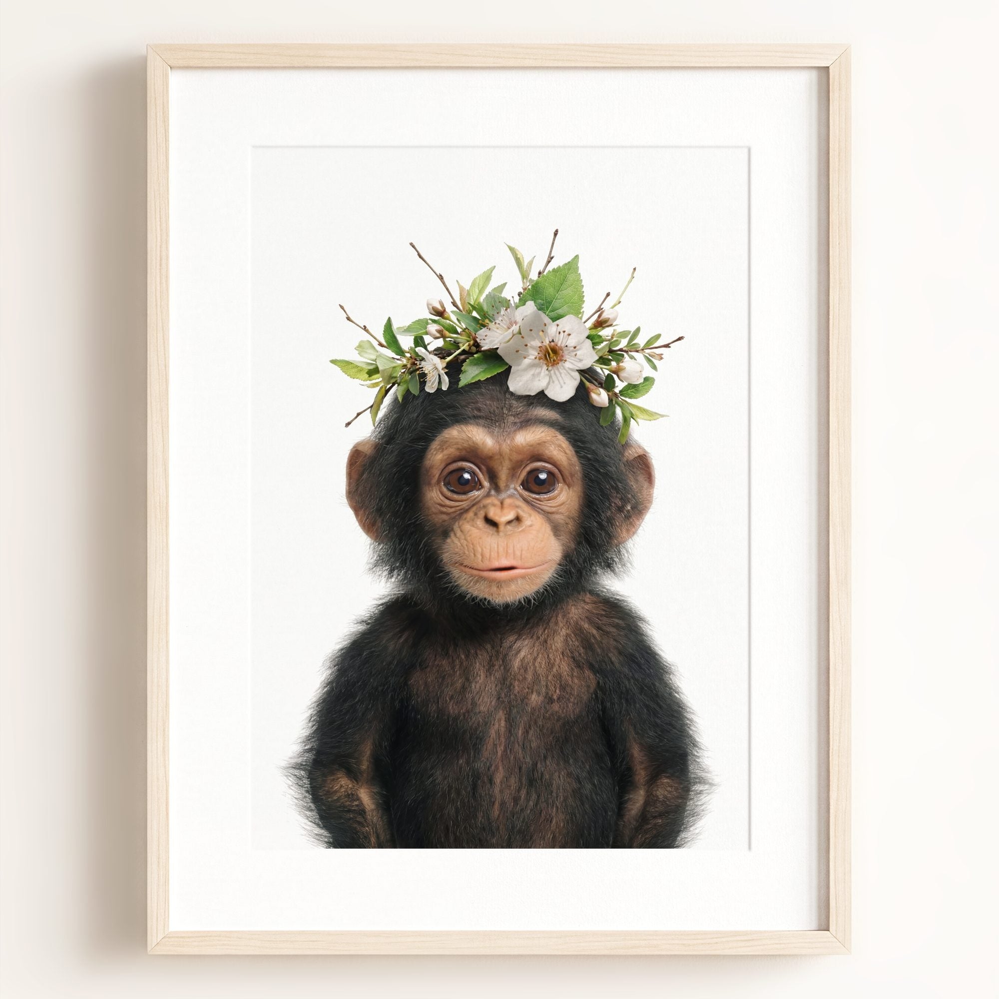 Baby Chimpanzee