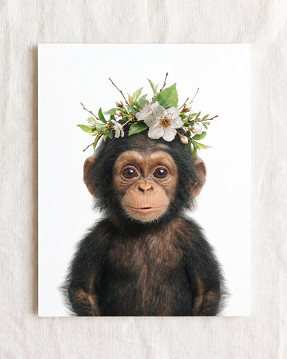Baby Chimpanzee