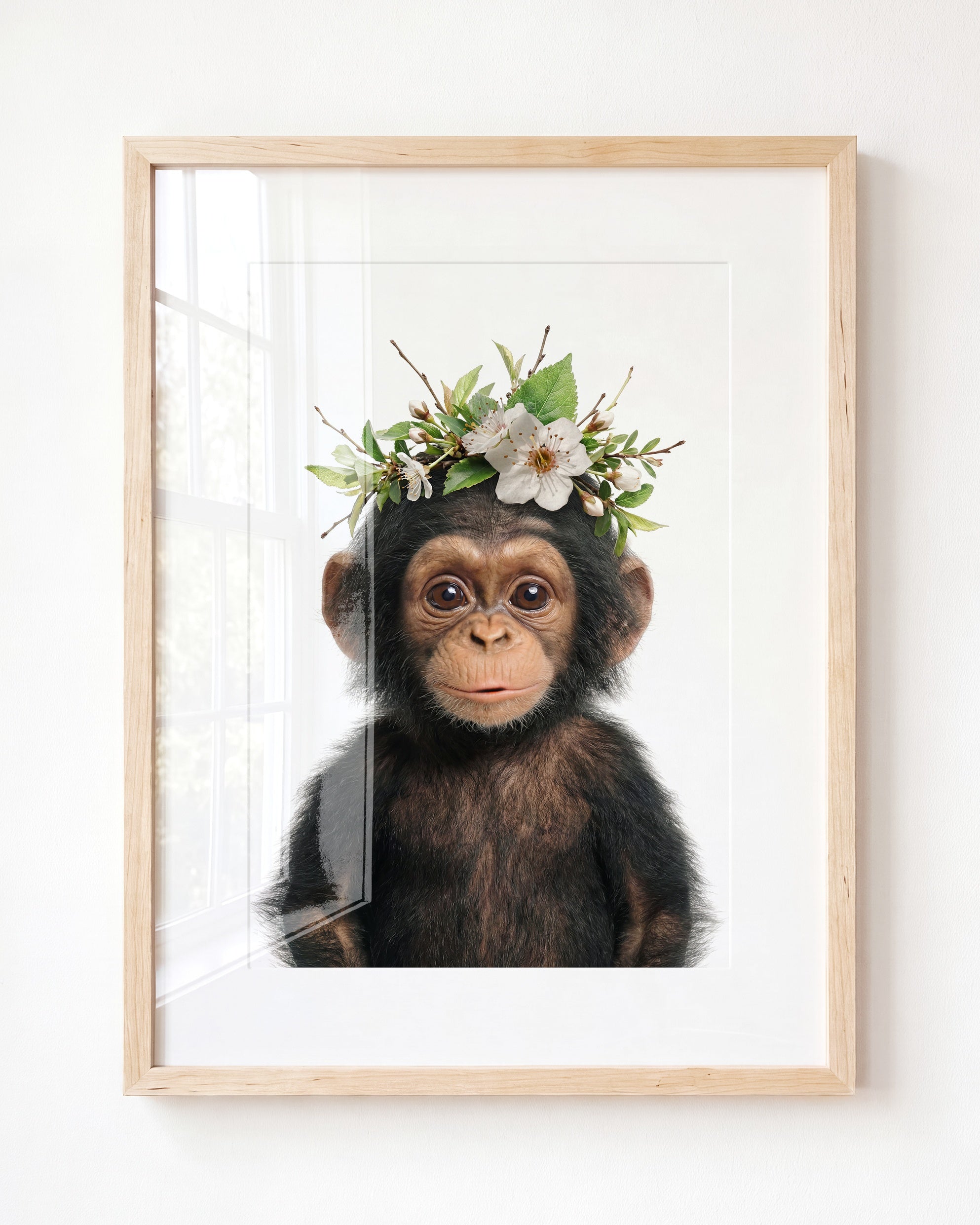 Baby Chimpanzee