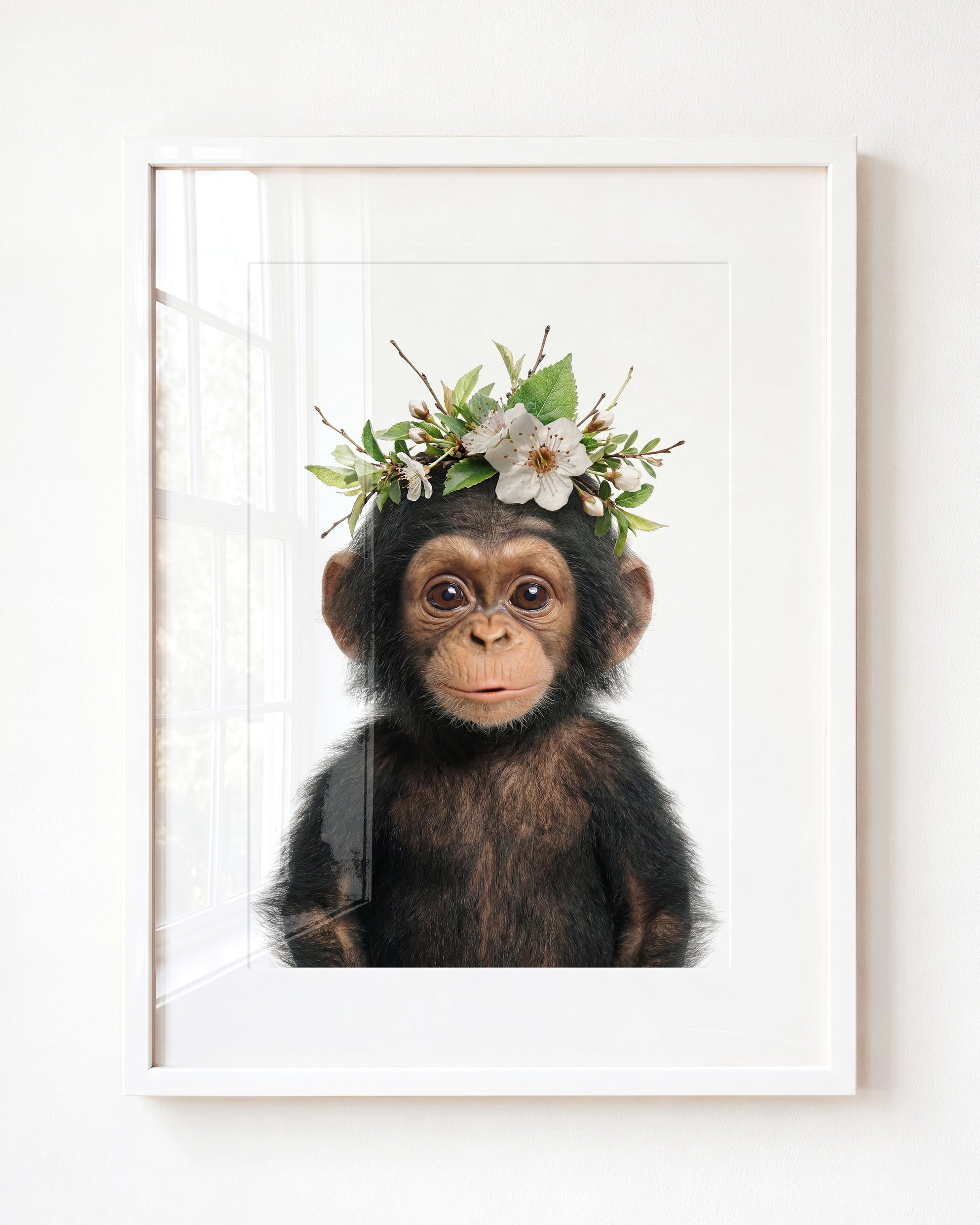 Baby Chimpanzee