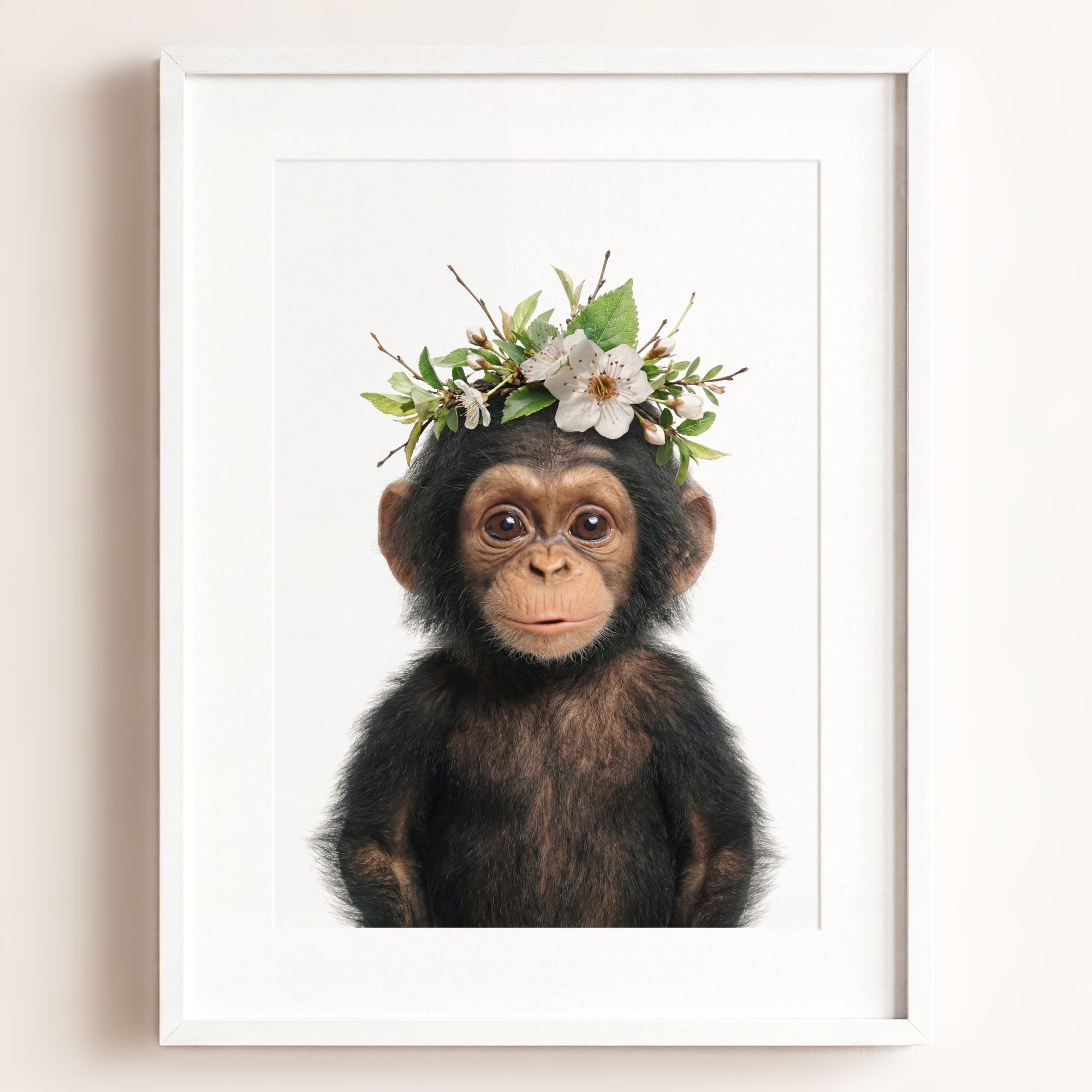 Baby Chimpanzee