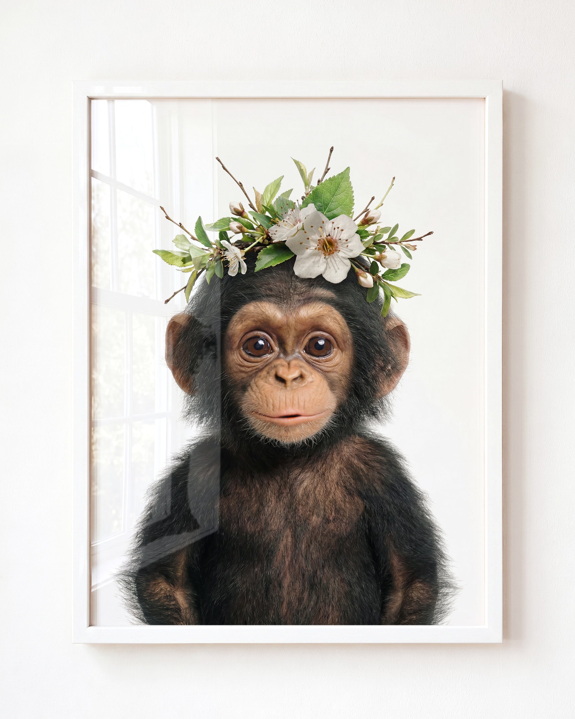 Baby Chimpanzee
