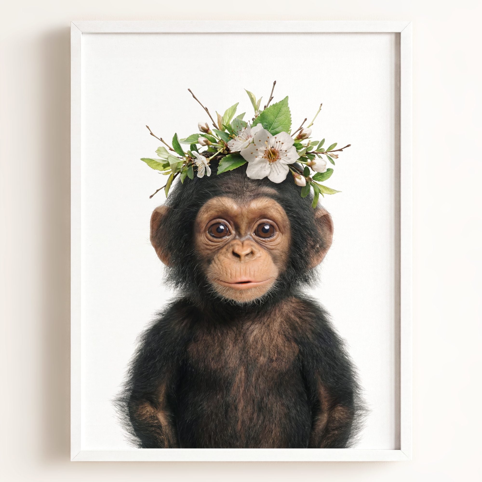 Baby Chimpanzee