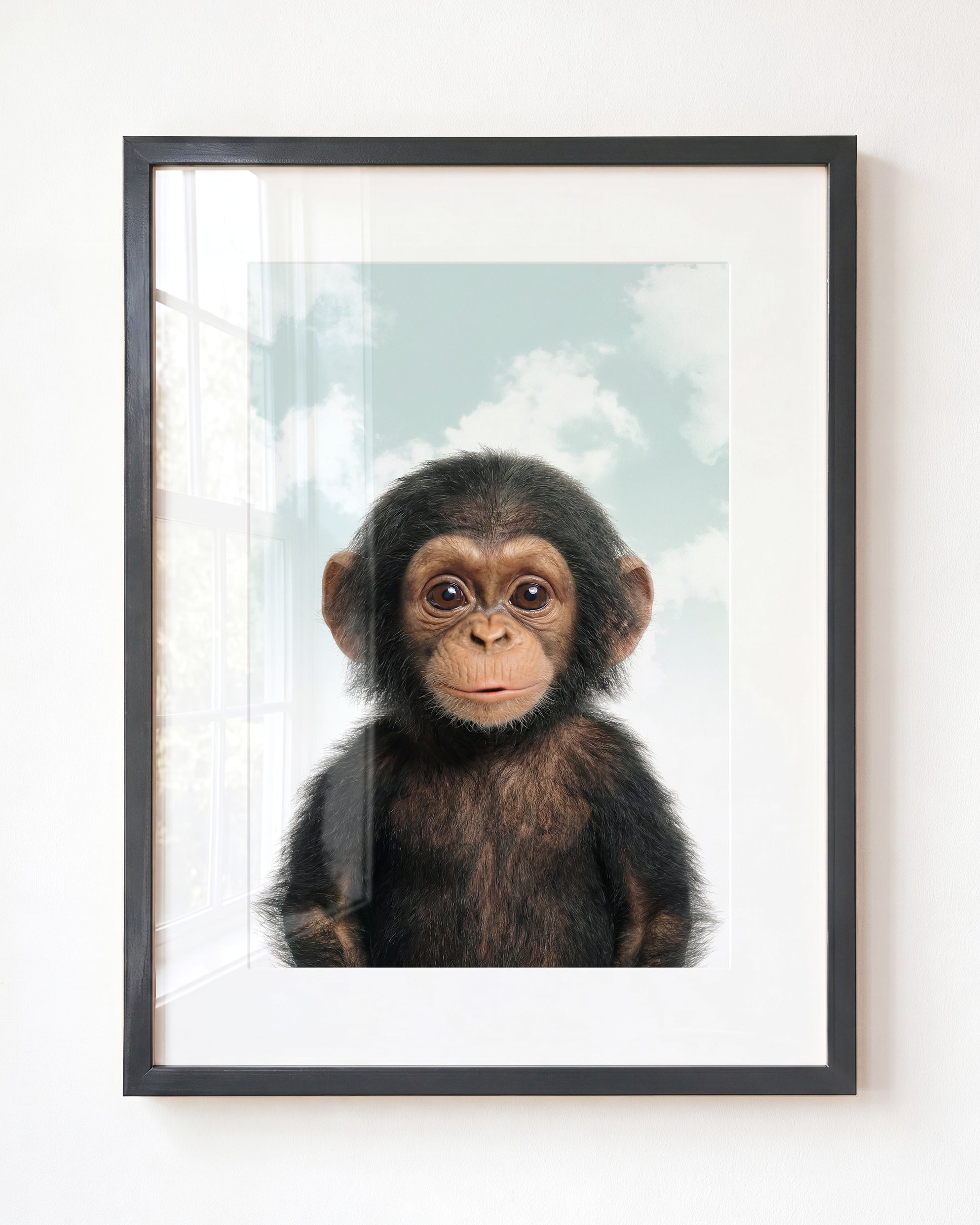 Baby Chimpanzee