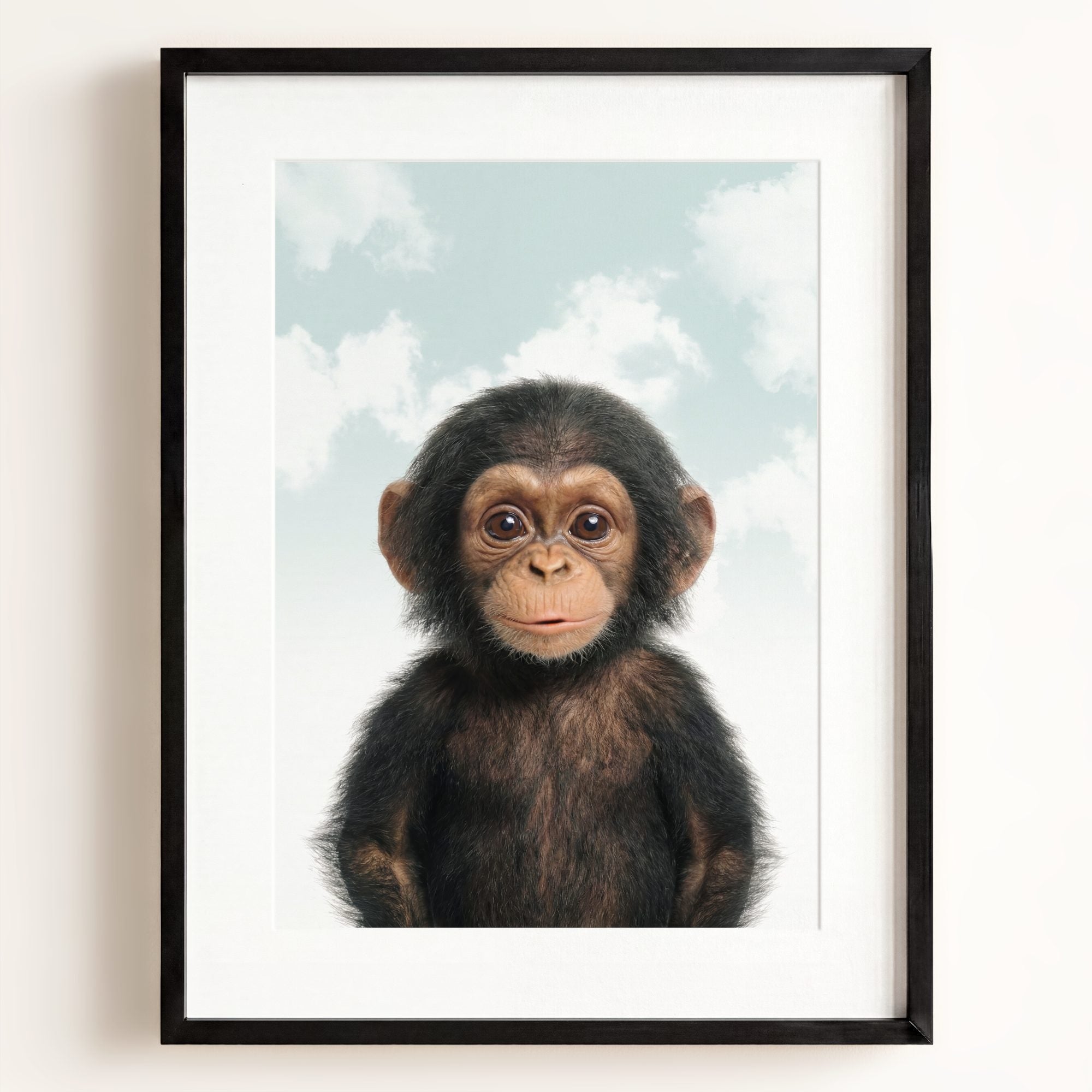 Baby Chimpanzee