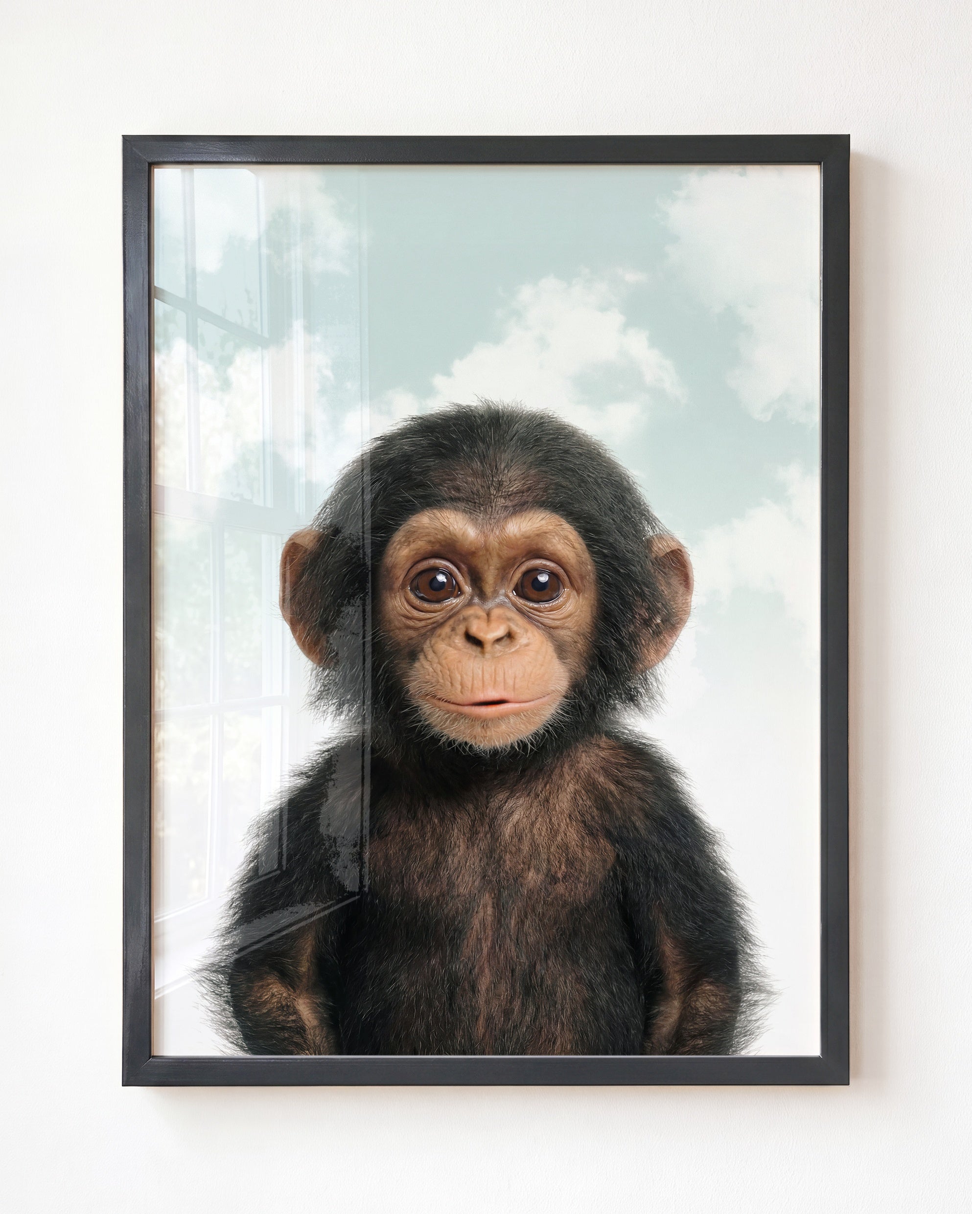 Baby Chimpanzee