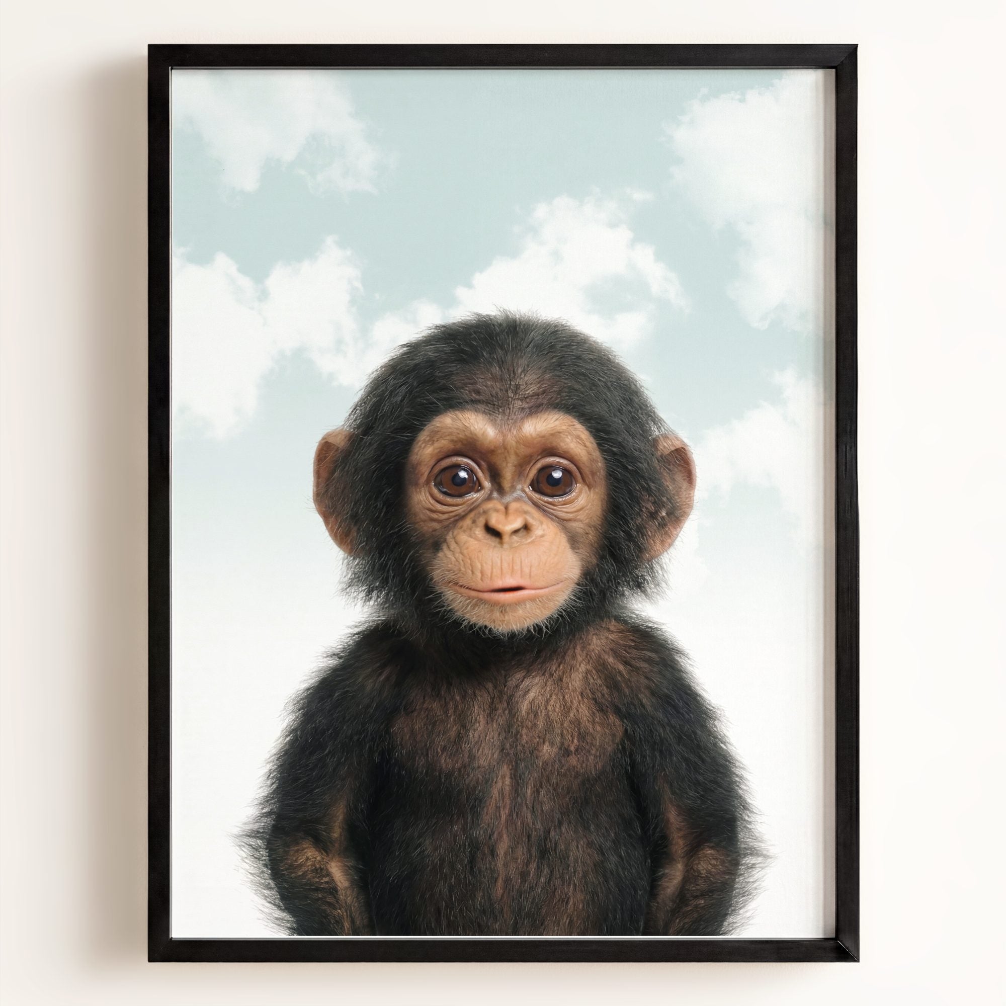 Baby Chimpanzee