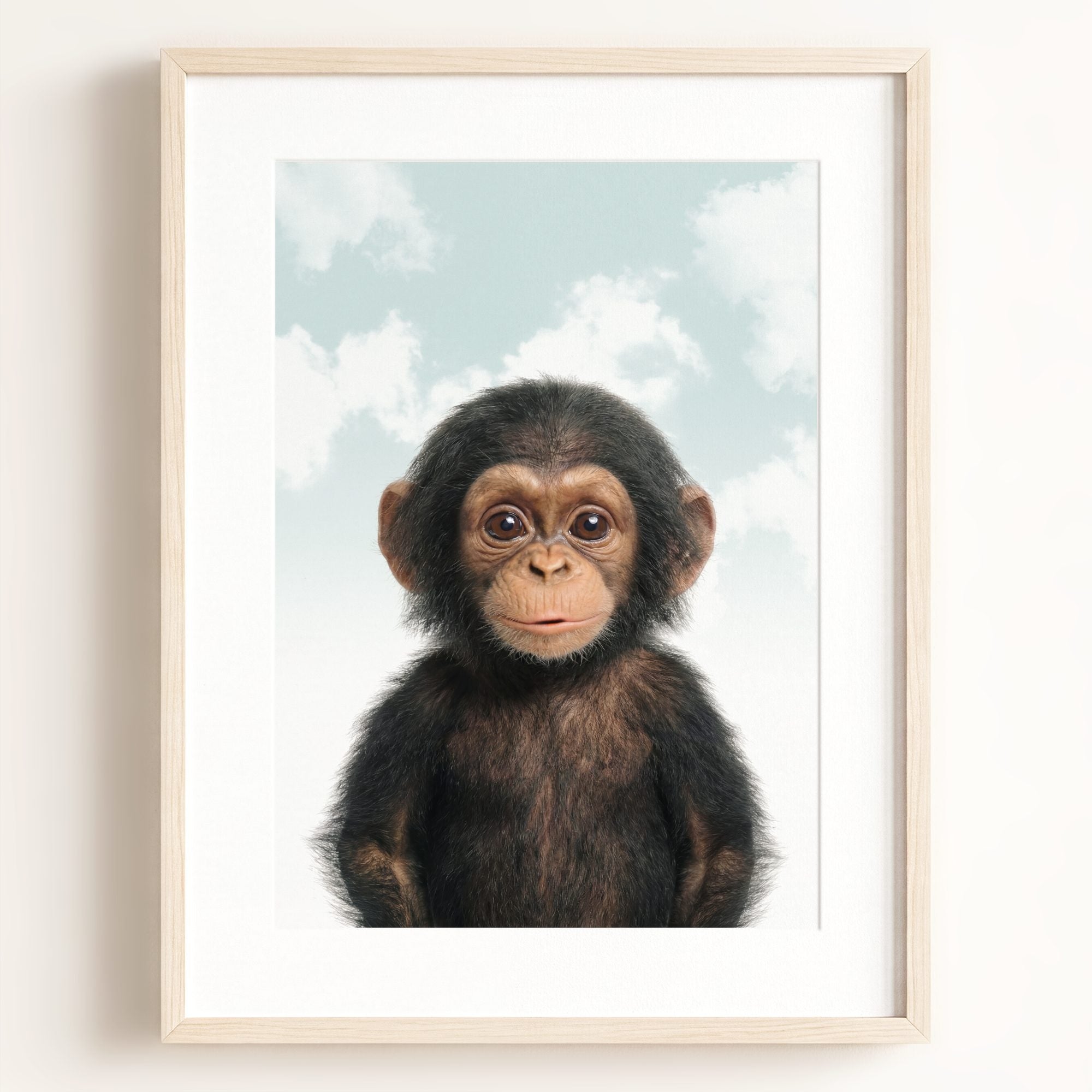 Baby Chimpanzee