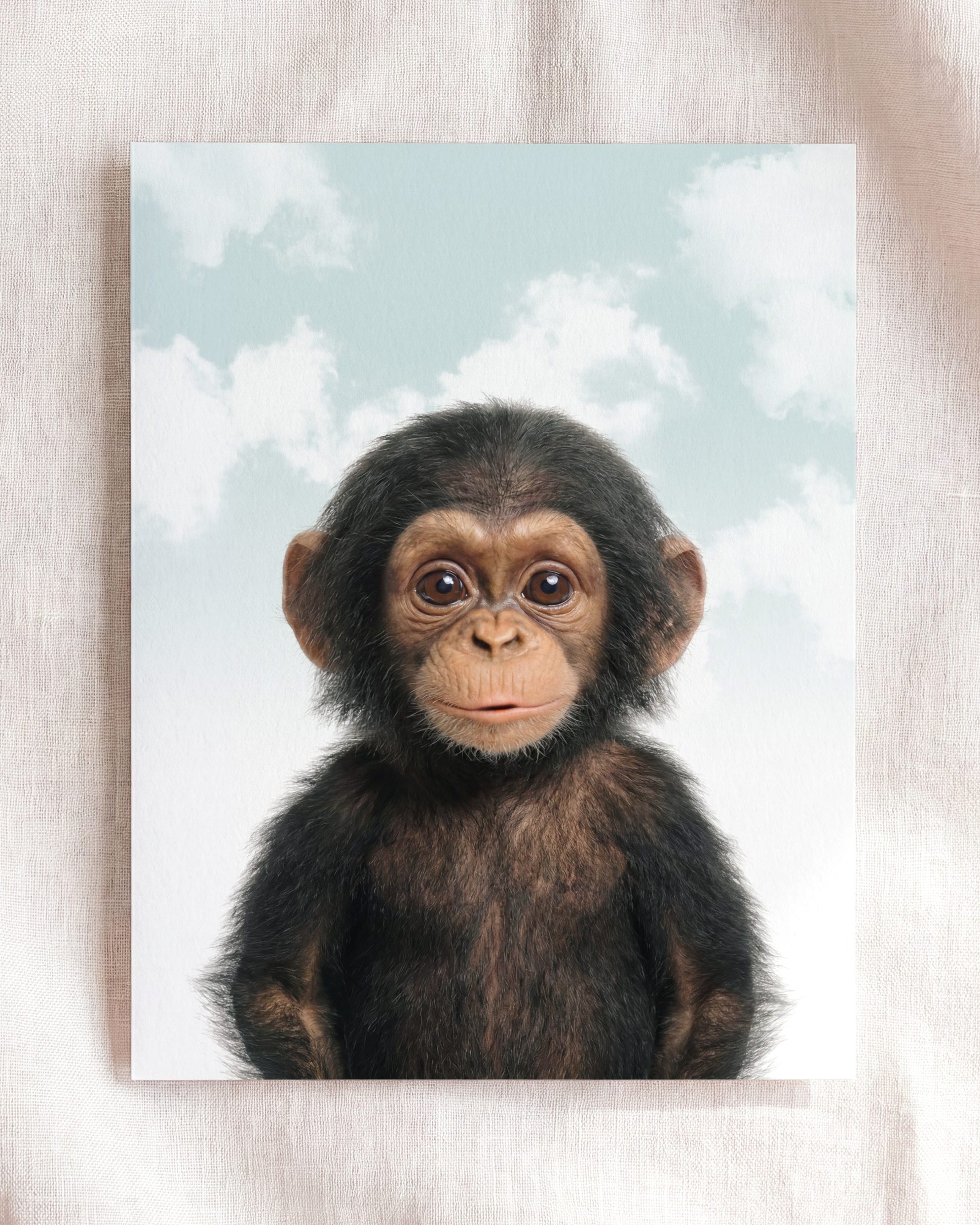 Baby Chimpanzee