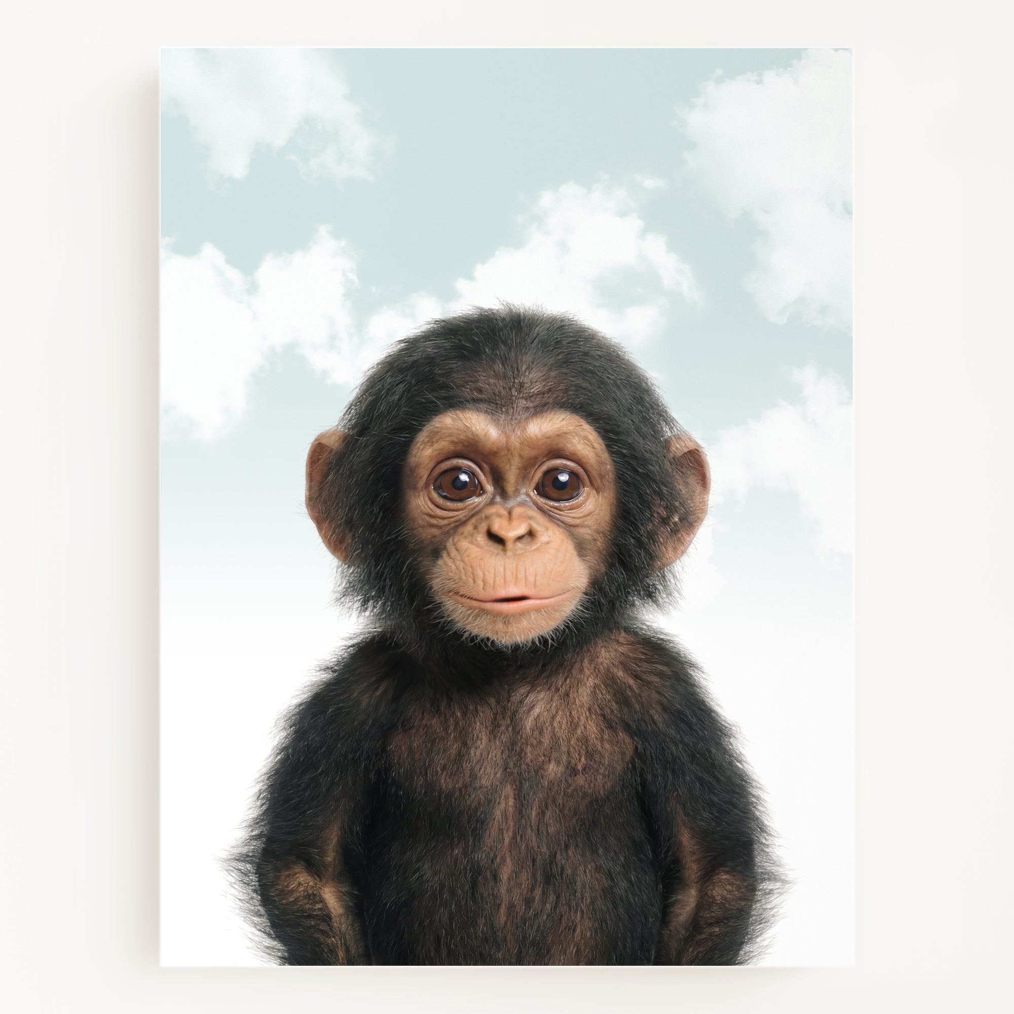 Baby Chimpanzee
