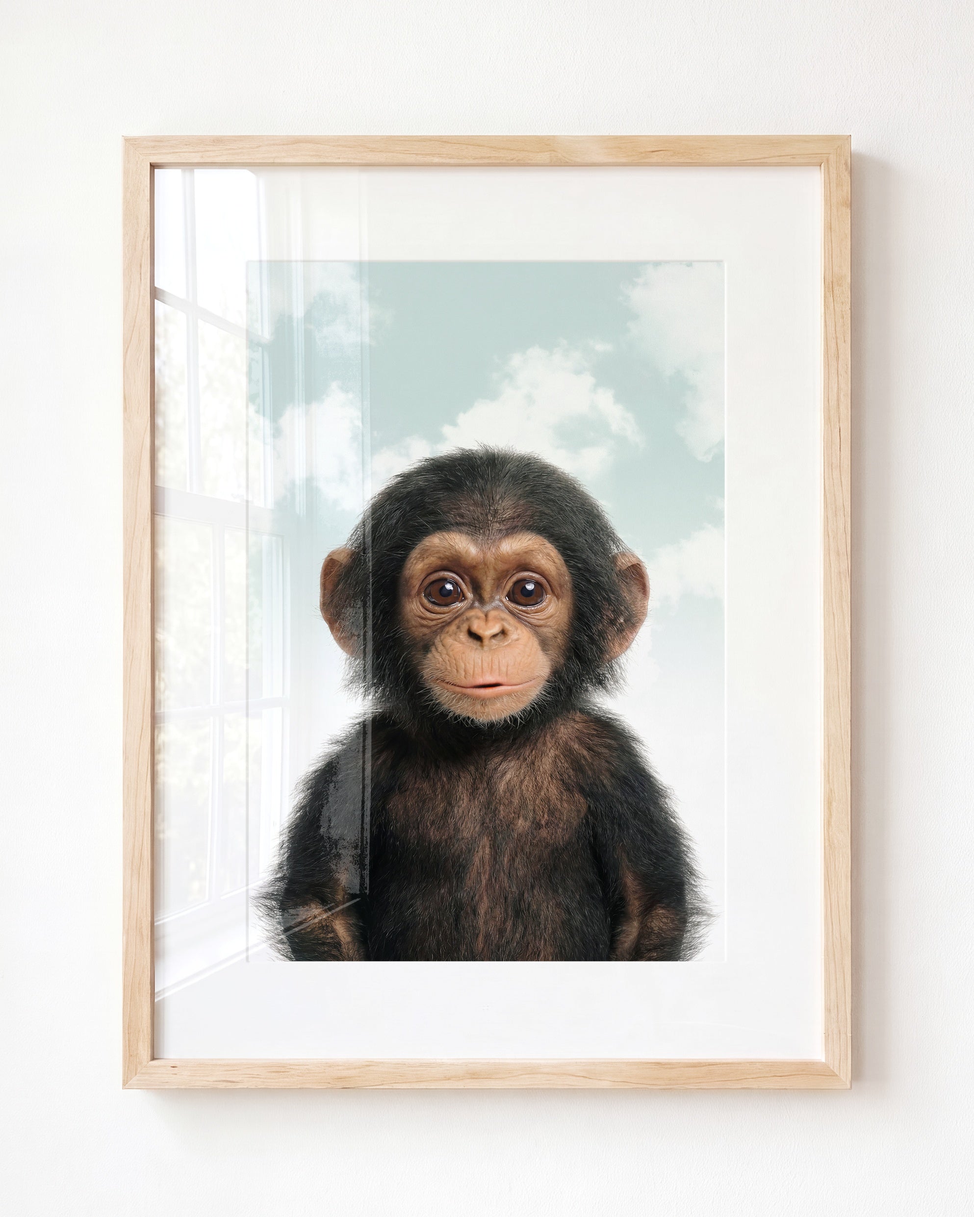 Baby Chimpanzee