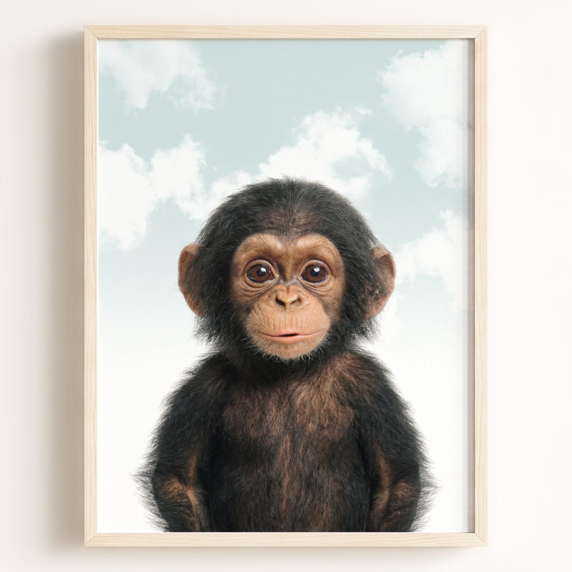 Baby Chimpanzee