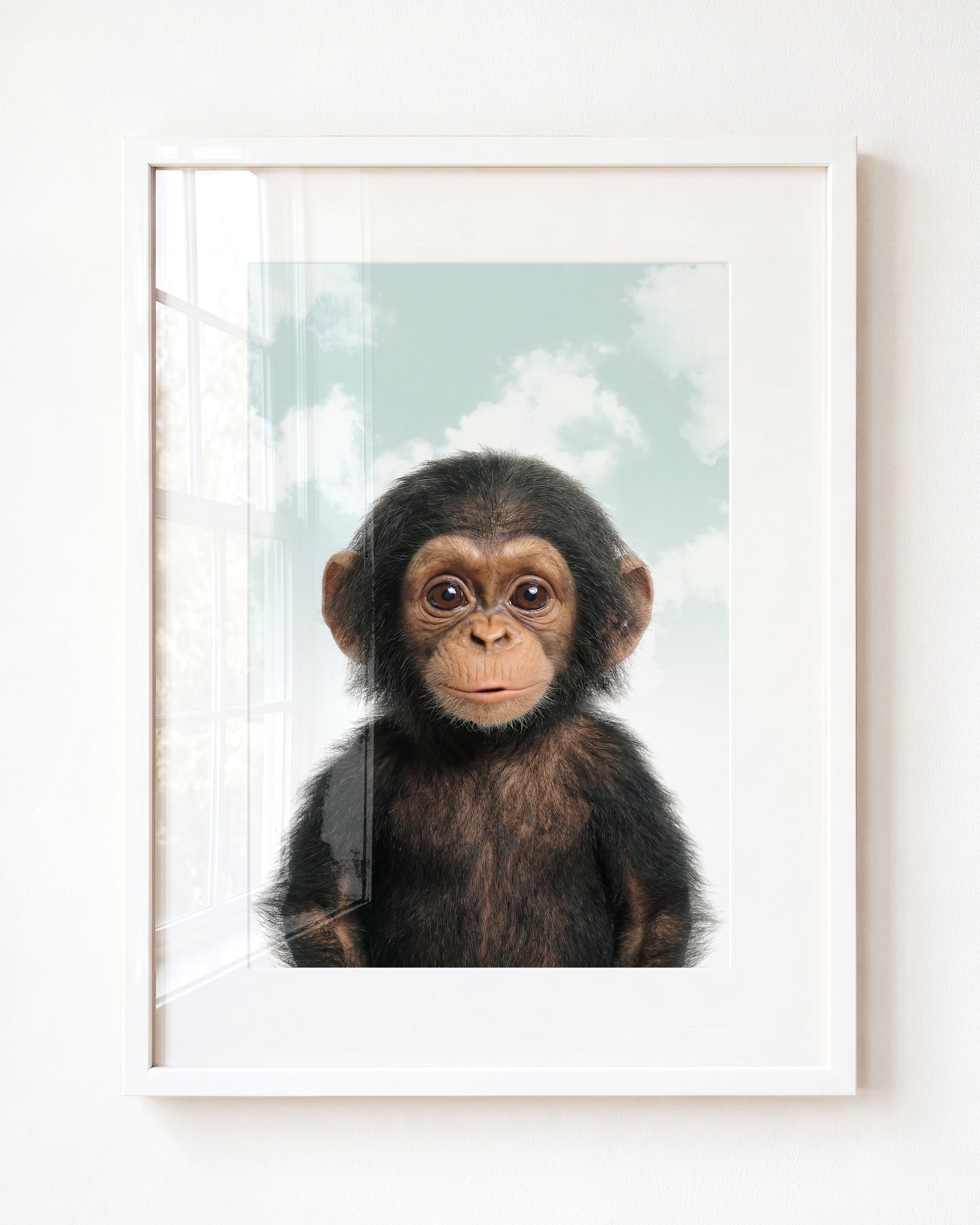 Baby Chimpanzee
