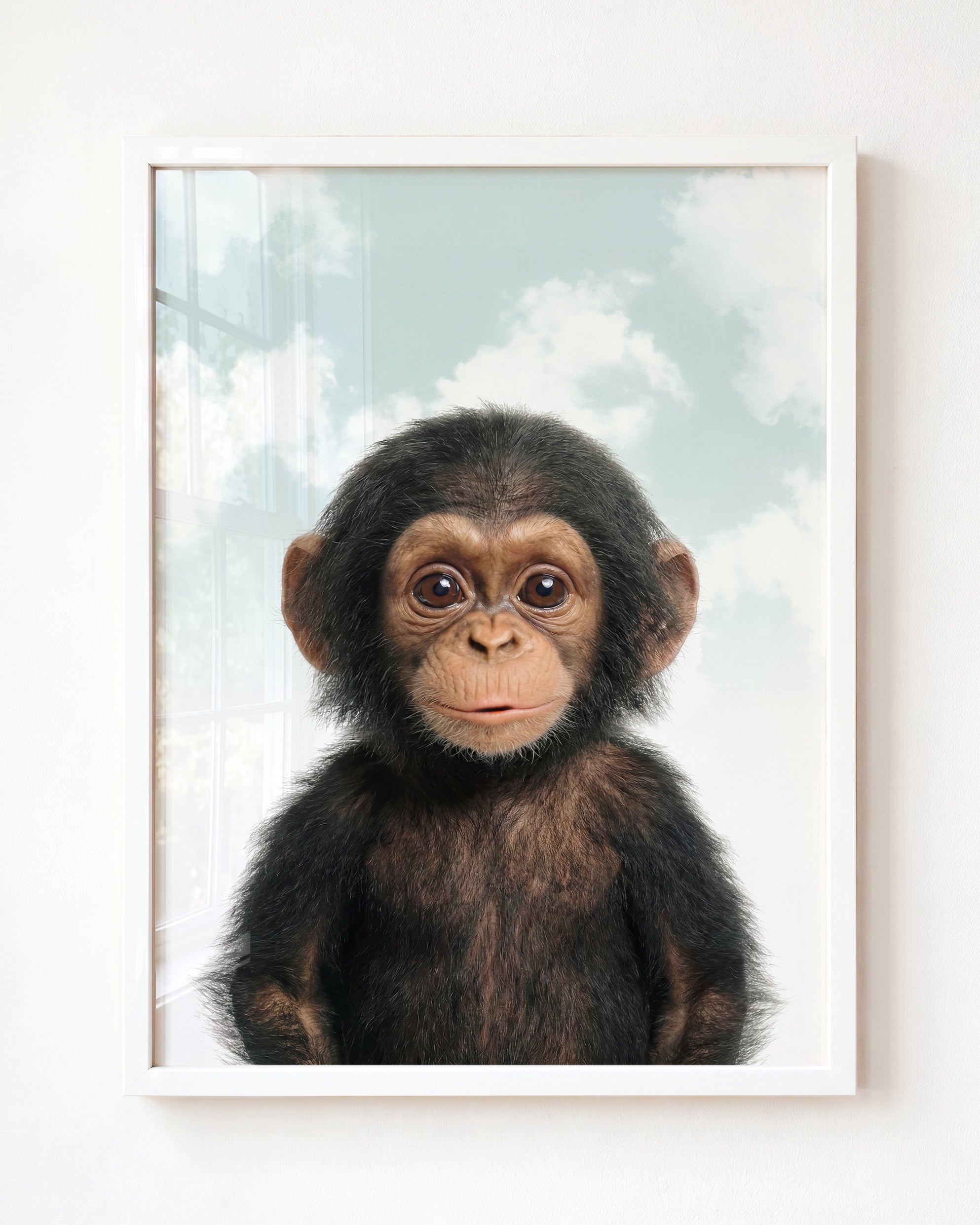 Baby Chimpanzee