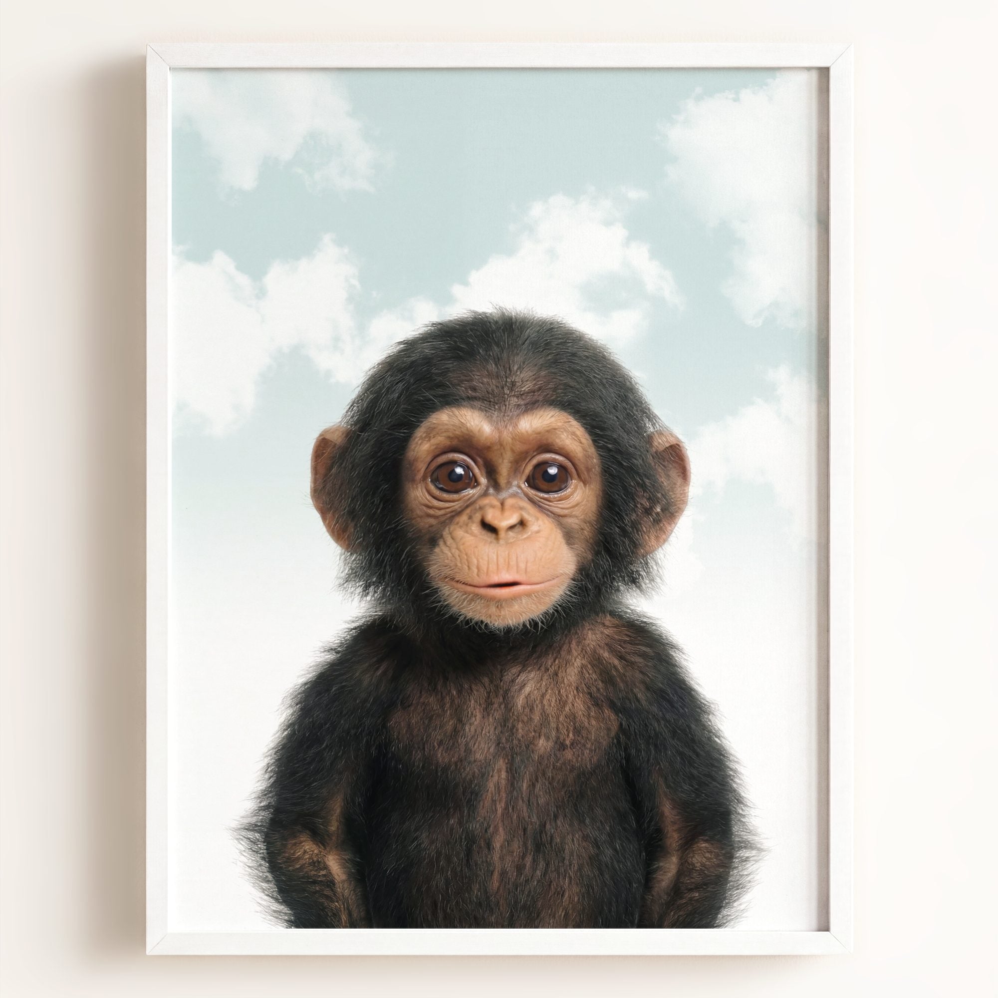 Baby Chimpanzee