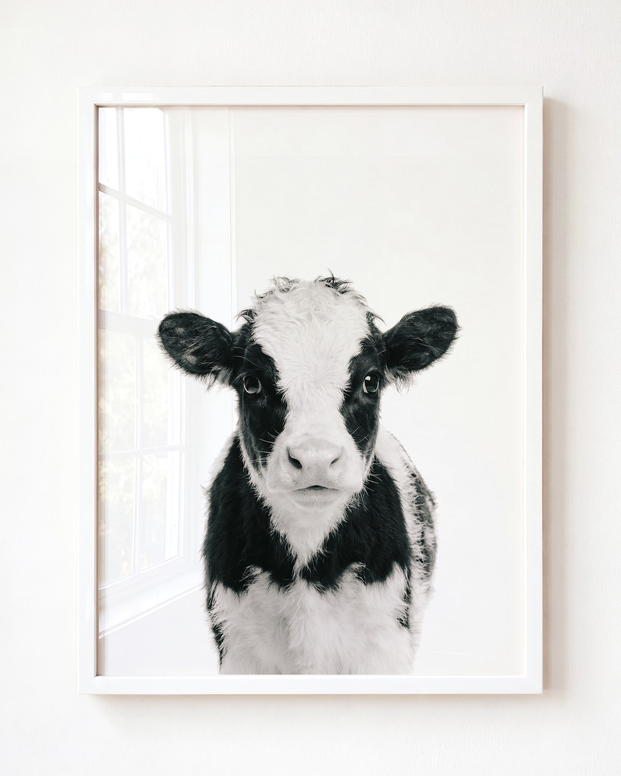 Baby Cow