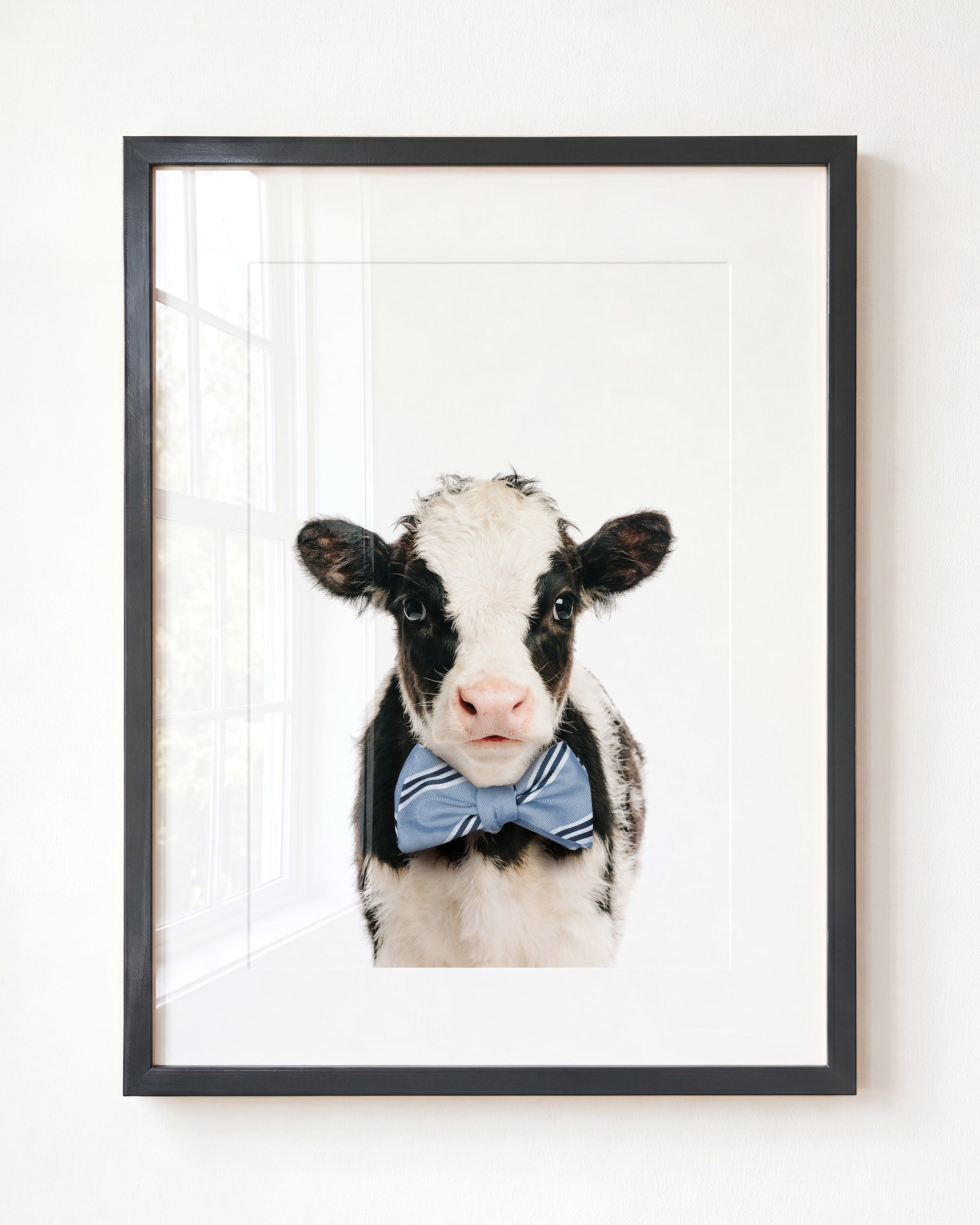 Baby Cow