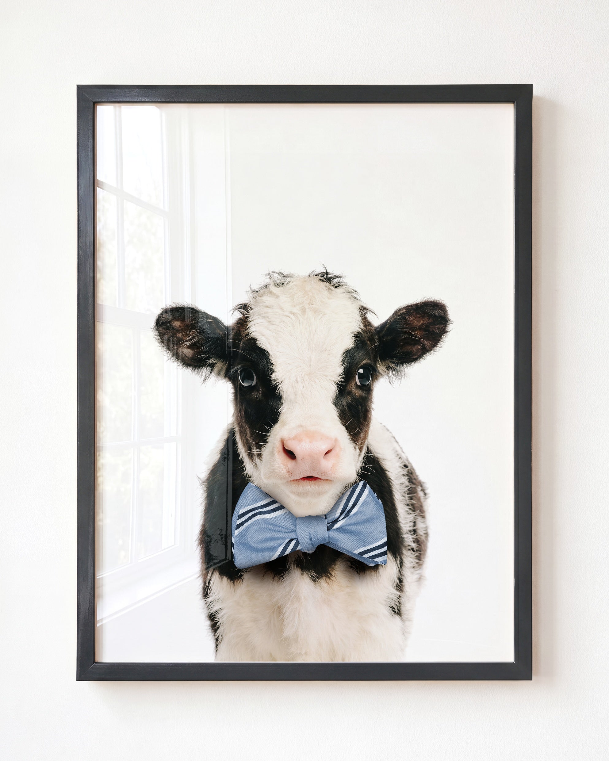 Baby Cow