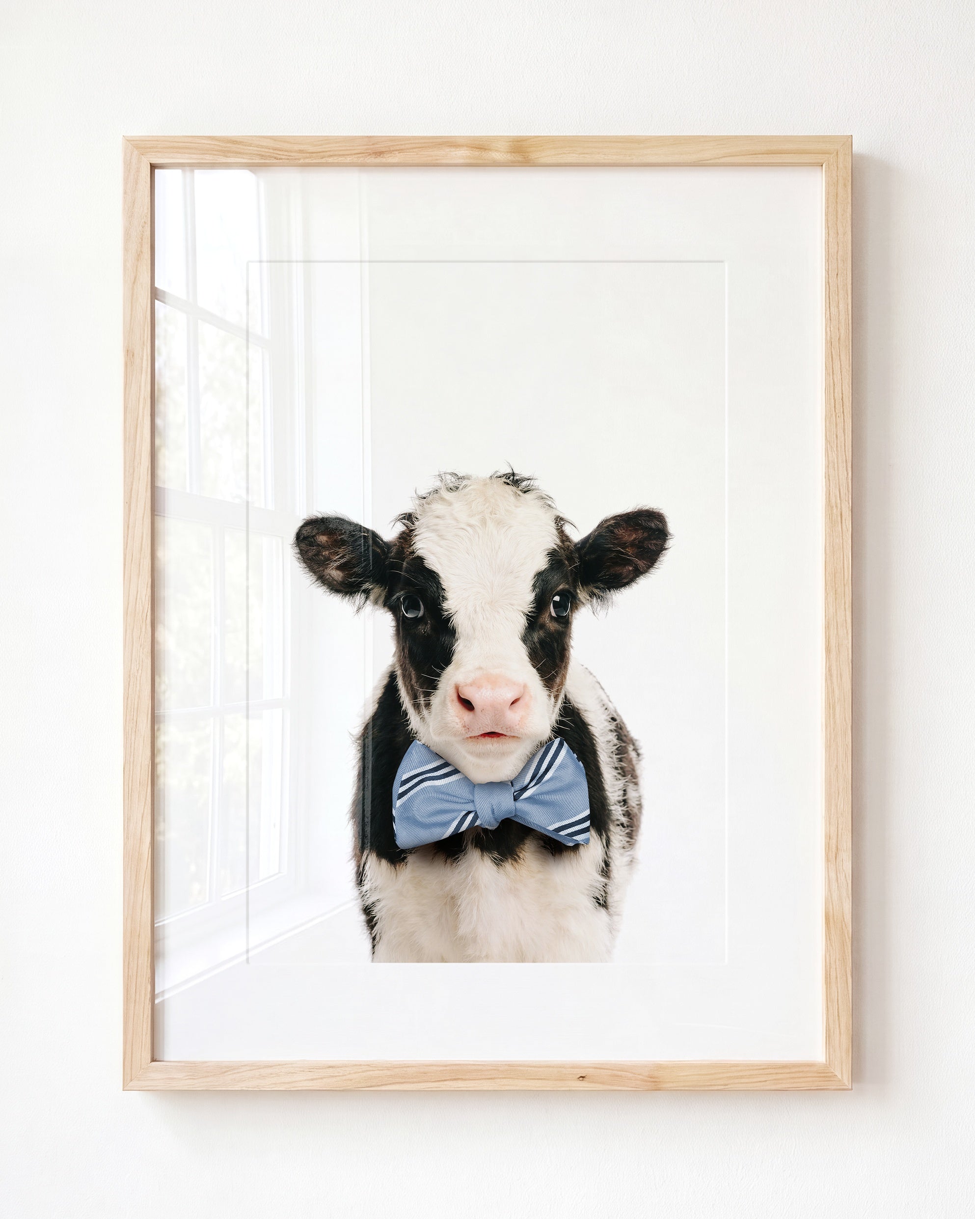 Baby Cow