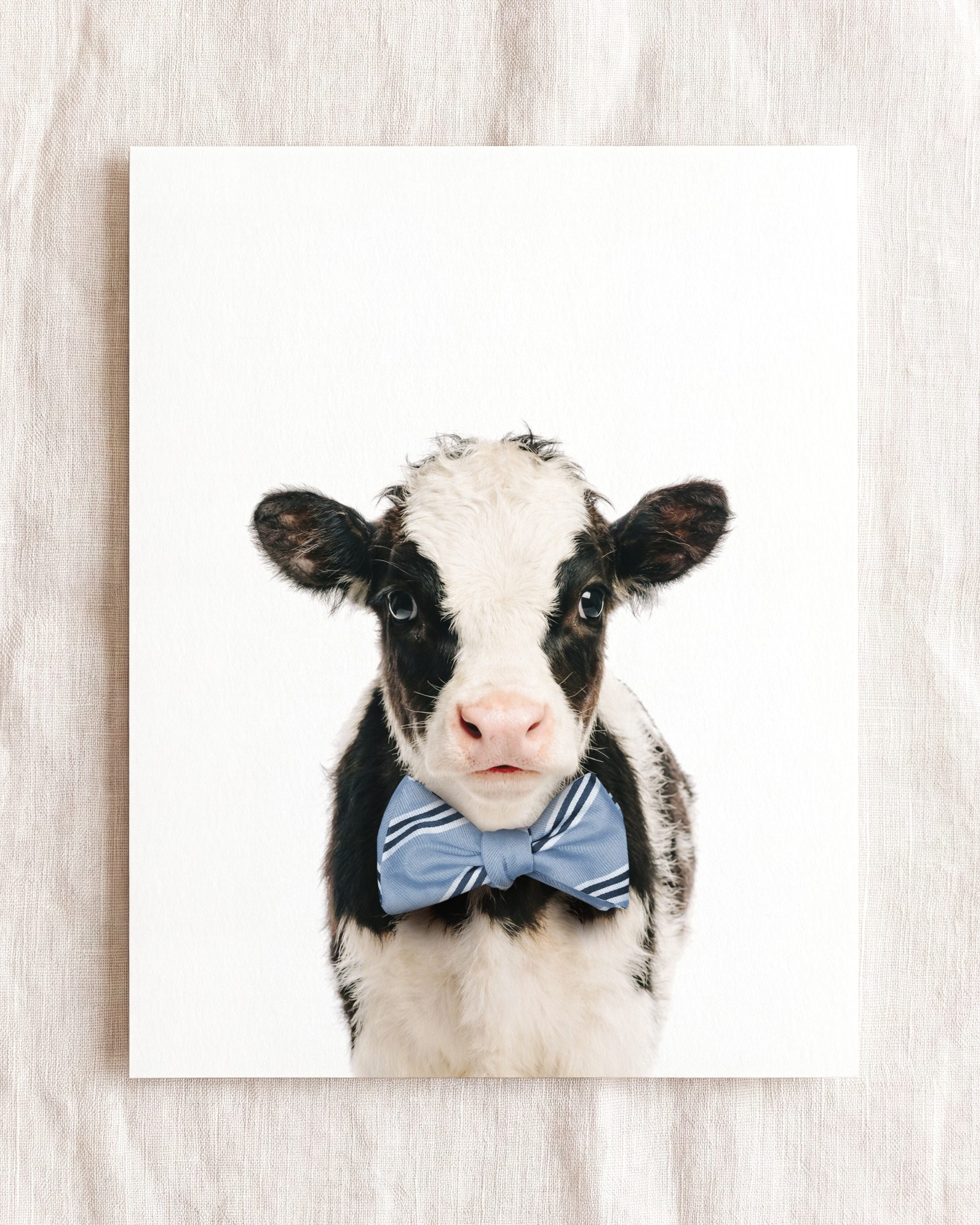 Baby Cow