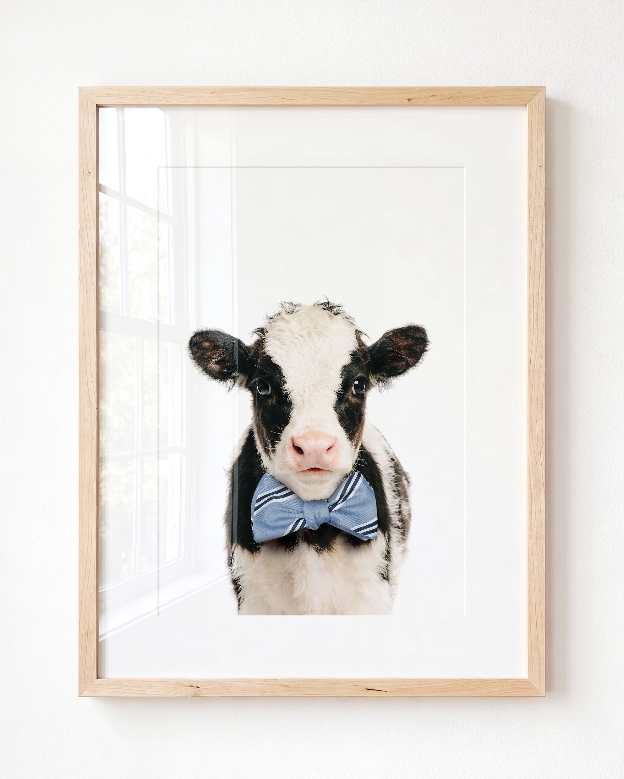 Baby Cow
