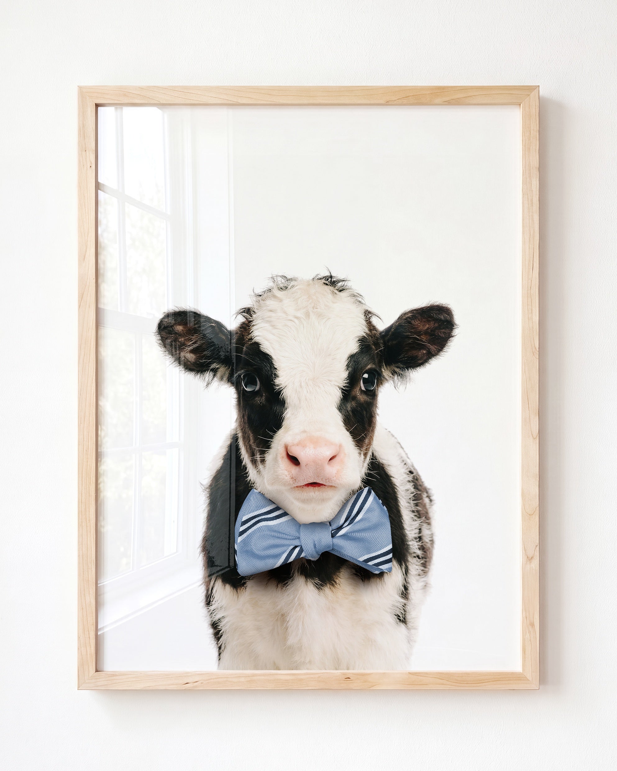 Baby Cow