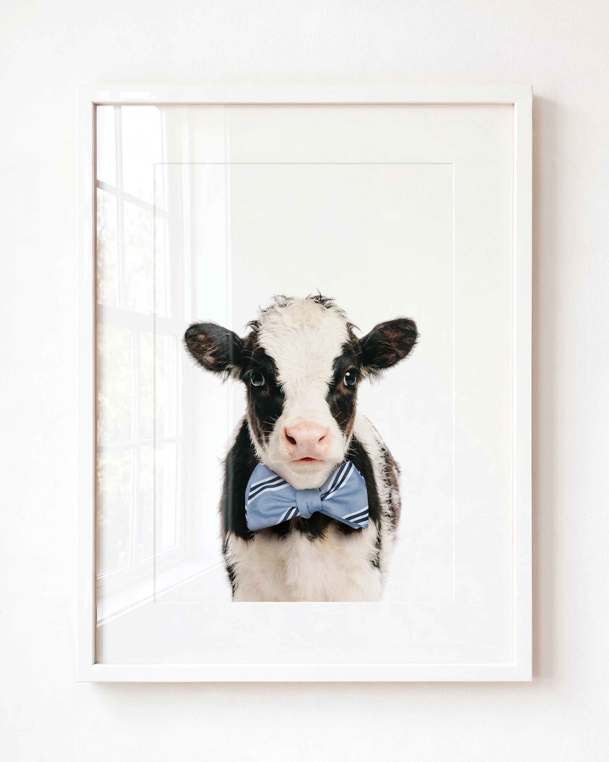 Baby Cow
