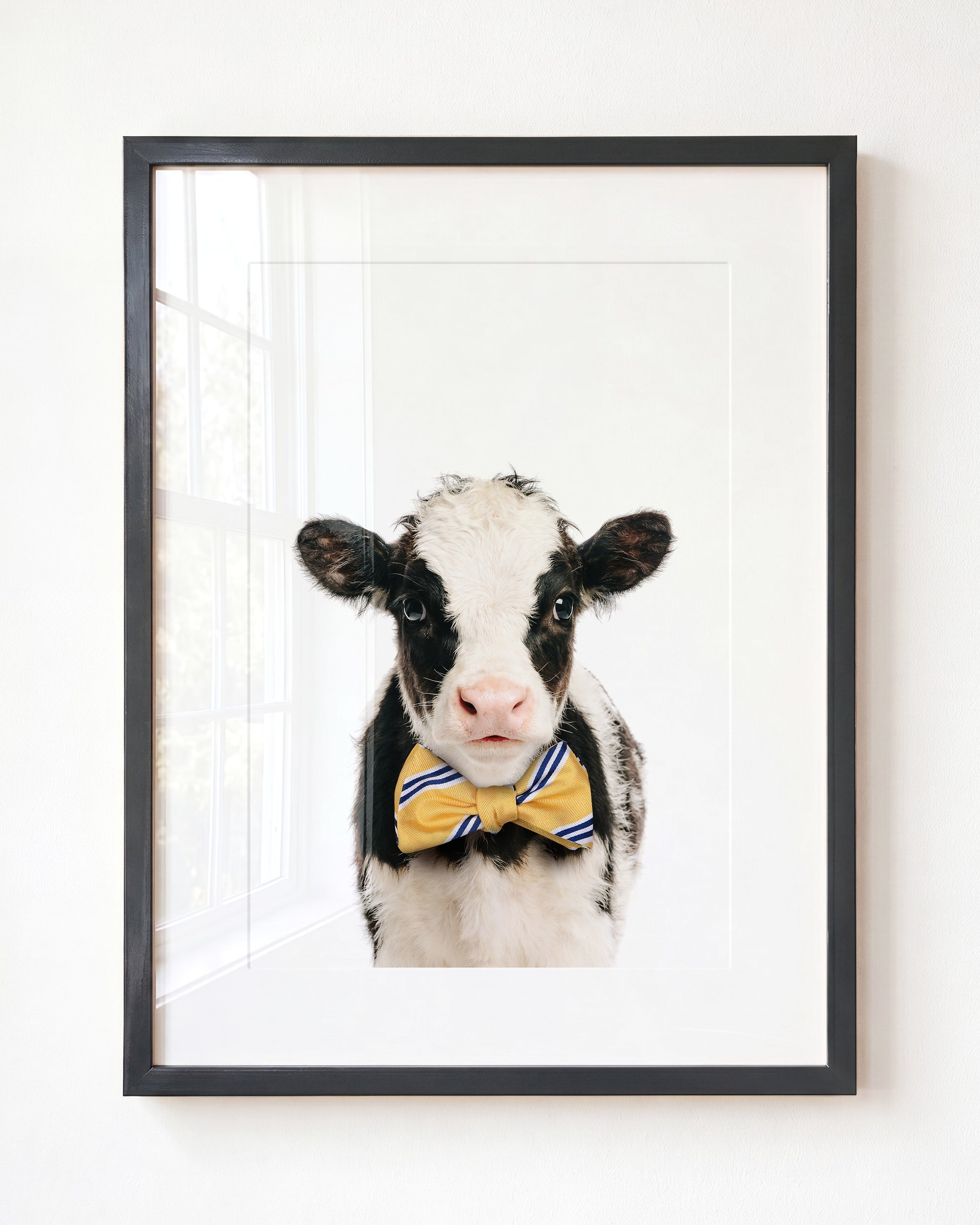 Baby Cow