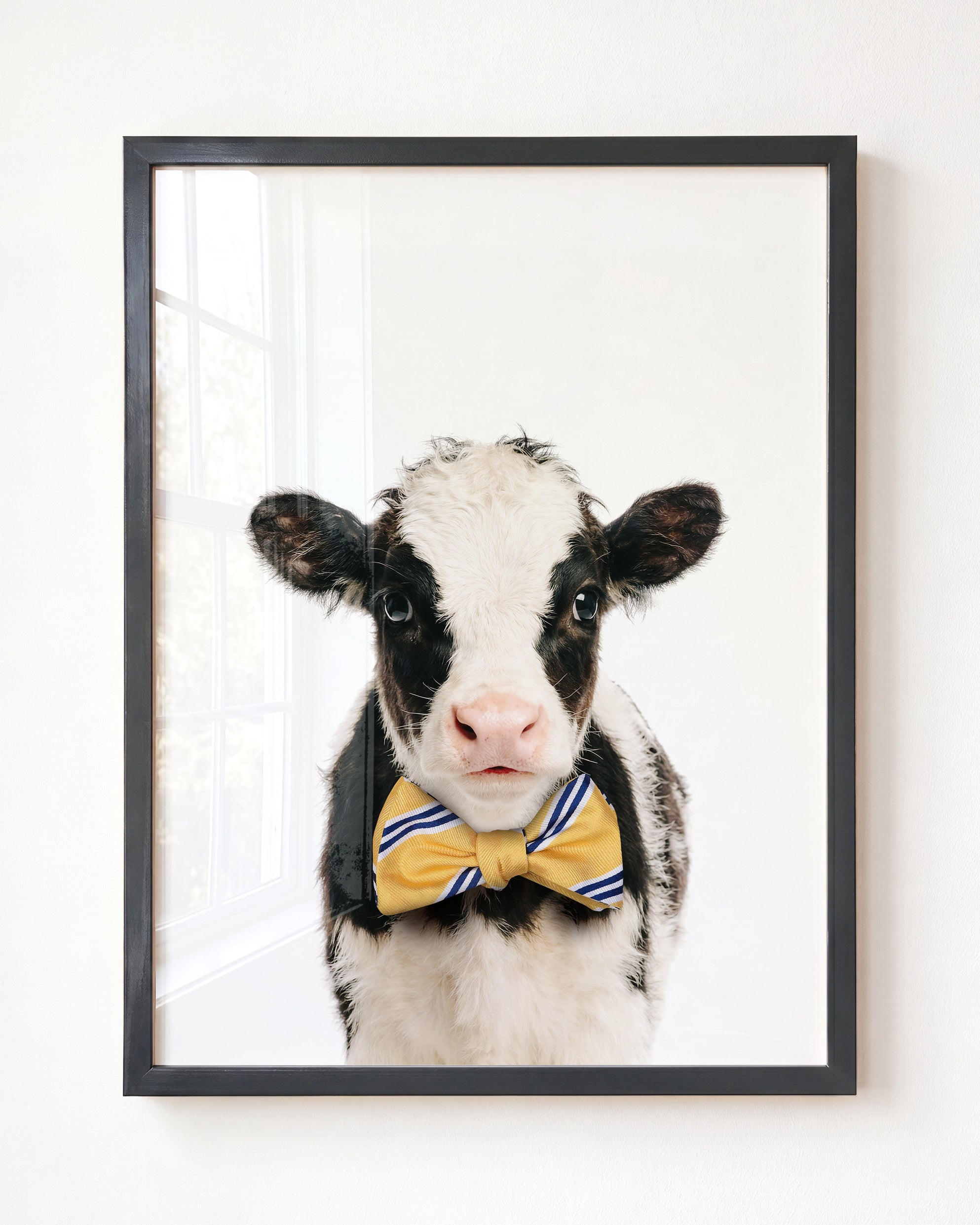 Baby Cow