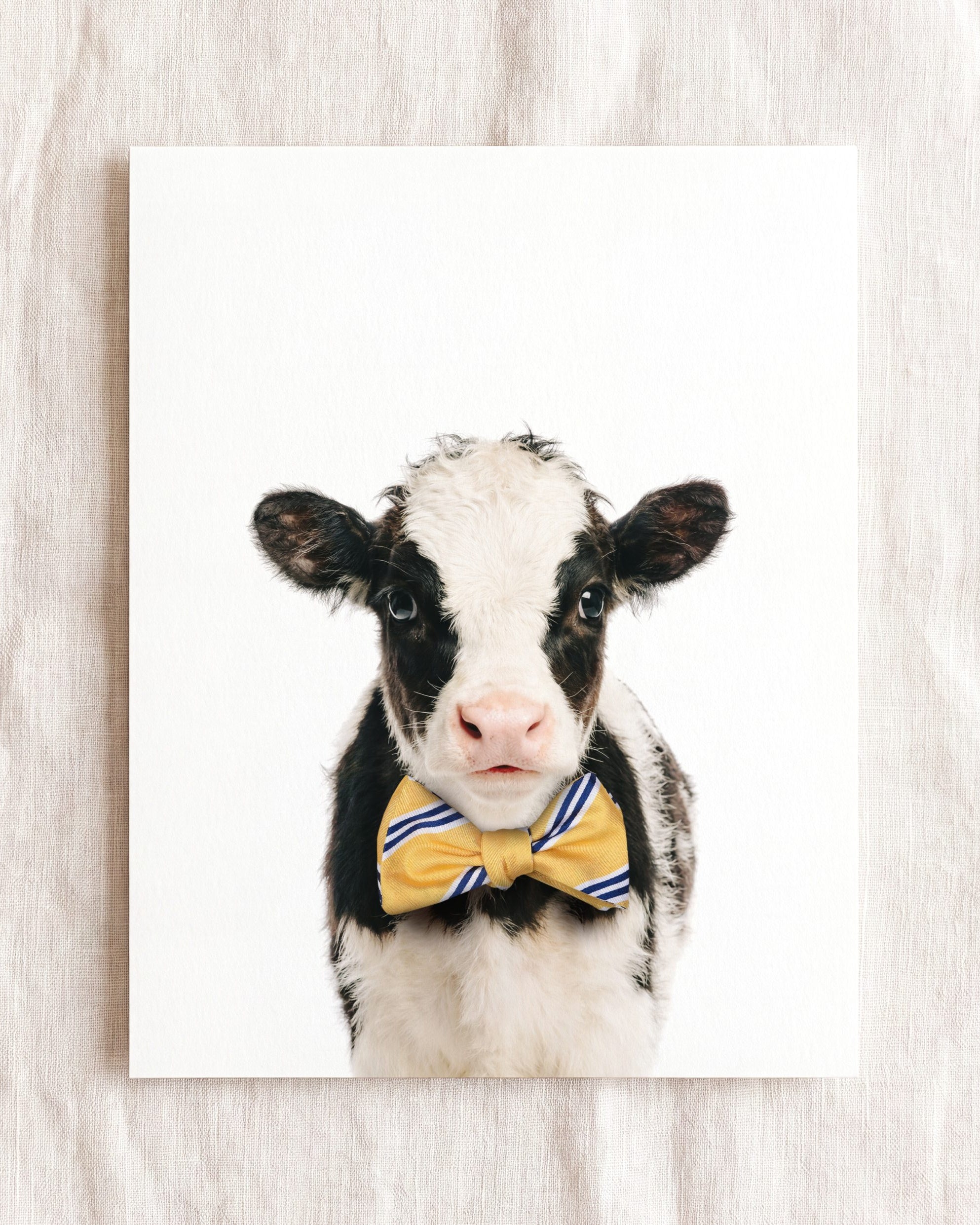 Baby Cow