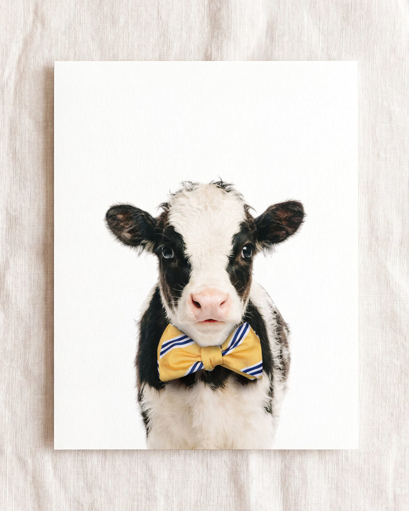 Bow Tie